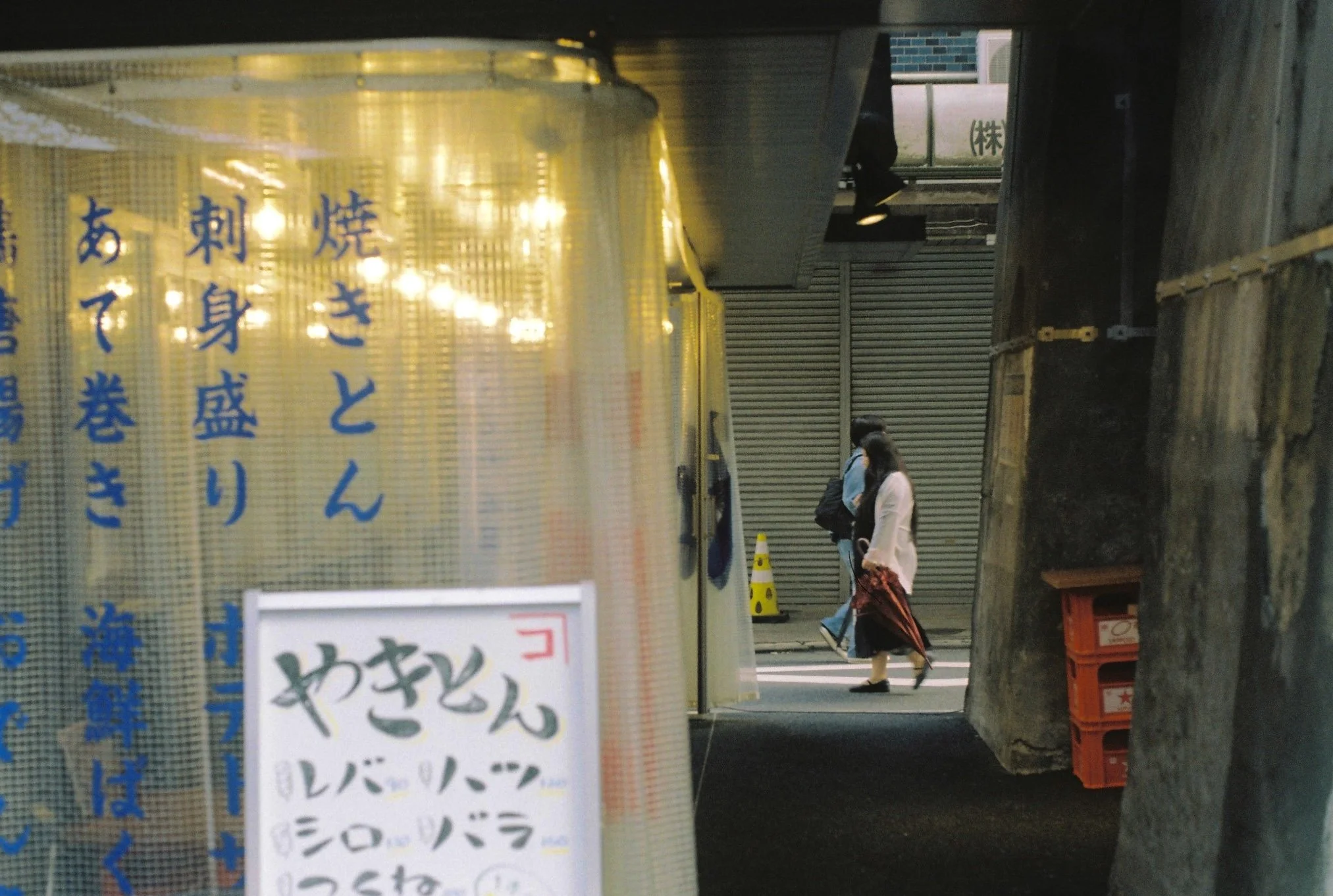 Walking (Pentax LX, 50mm f/1.4)