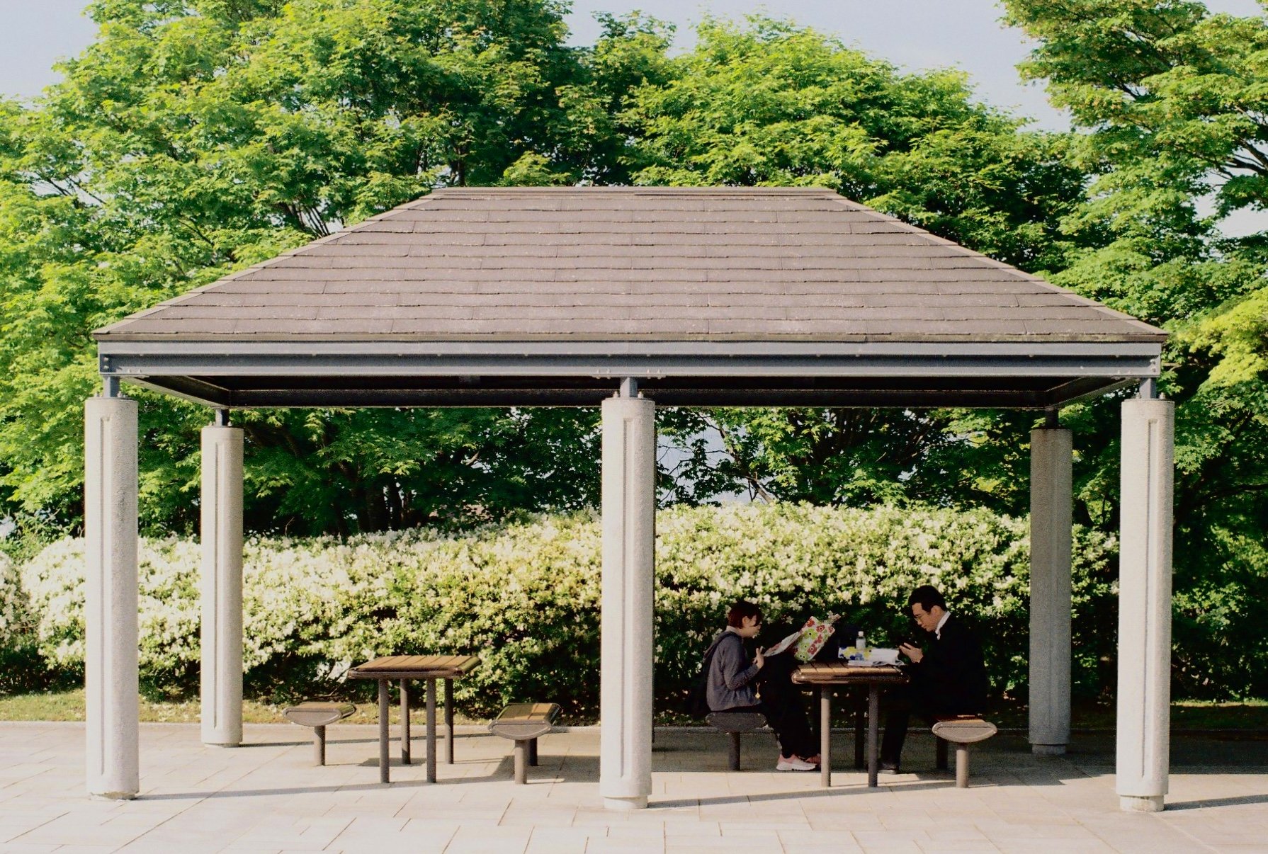 Studying in summer (Pentax LX, 50mm f/1.4)