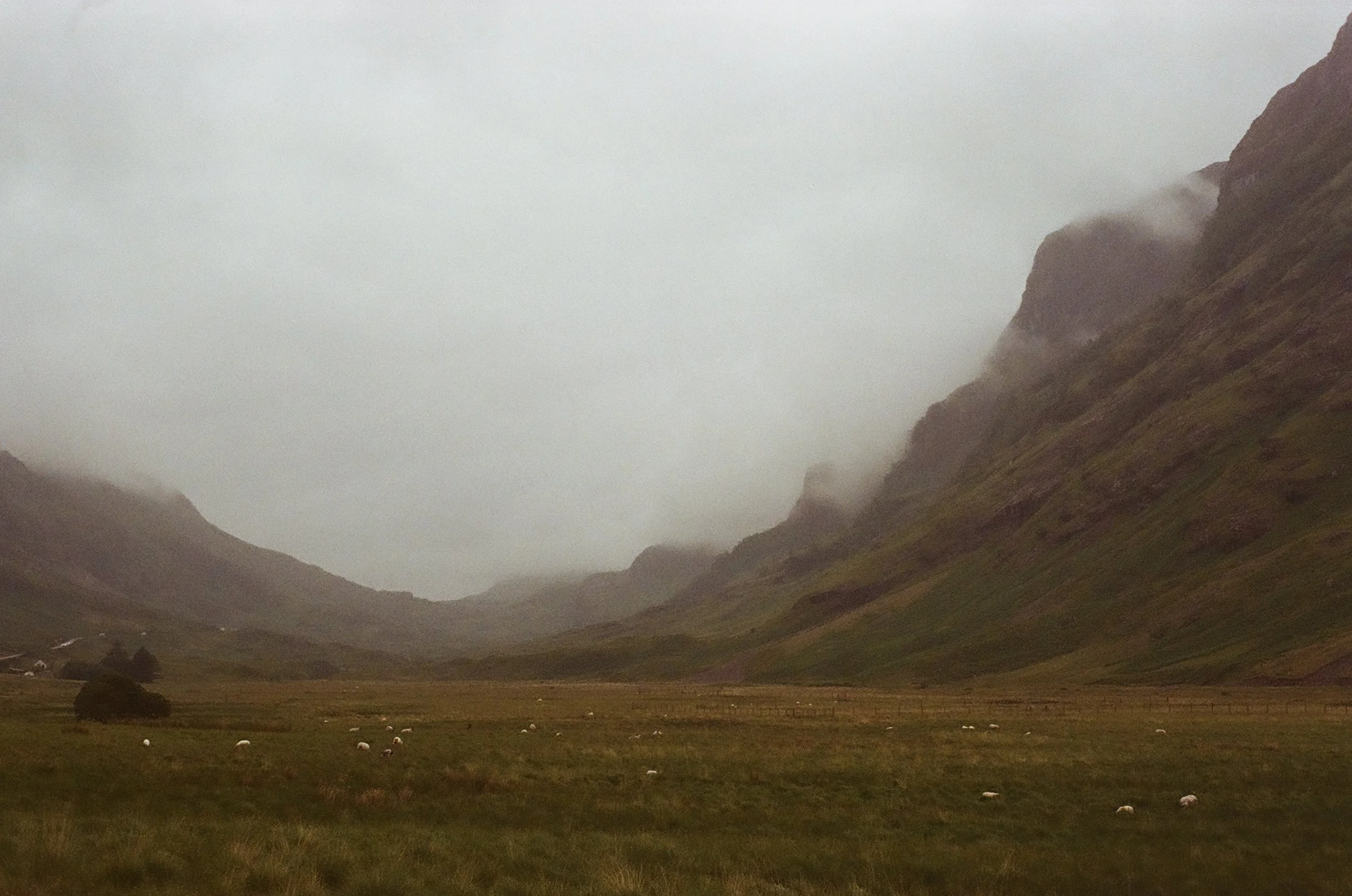 Glencoe, 2025