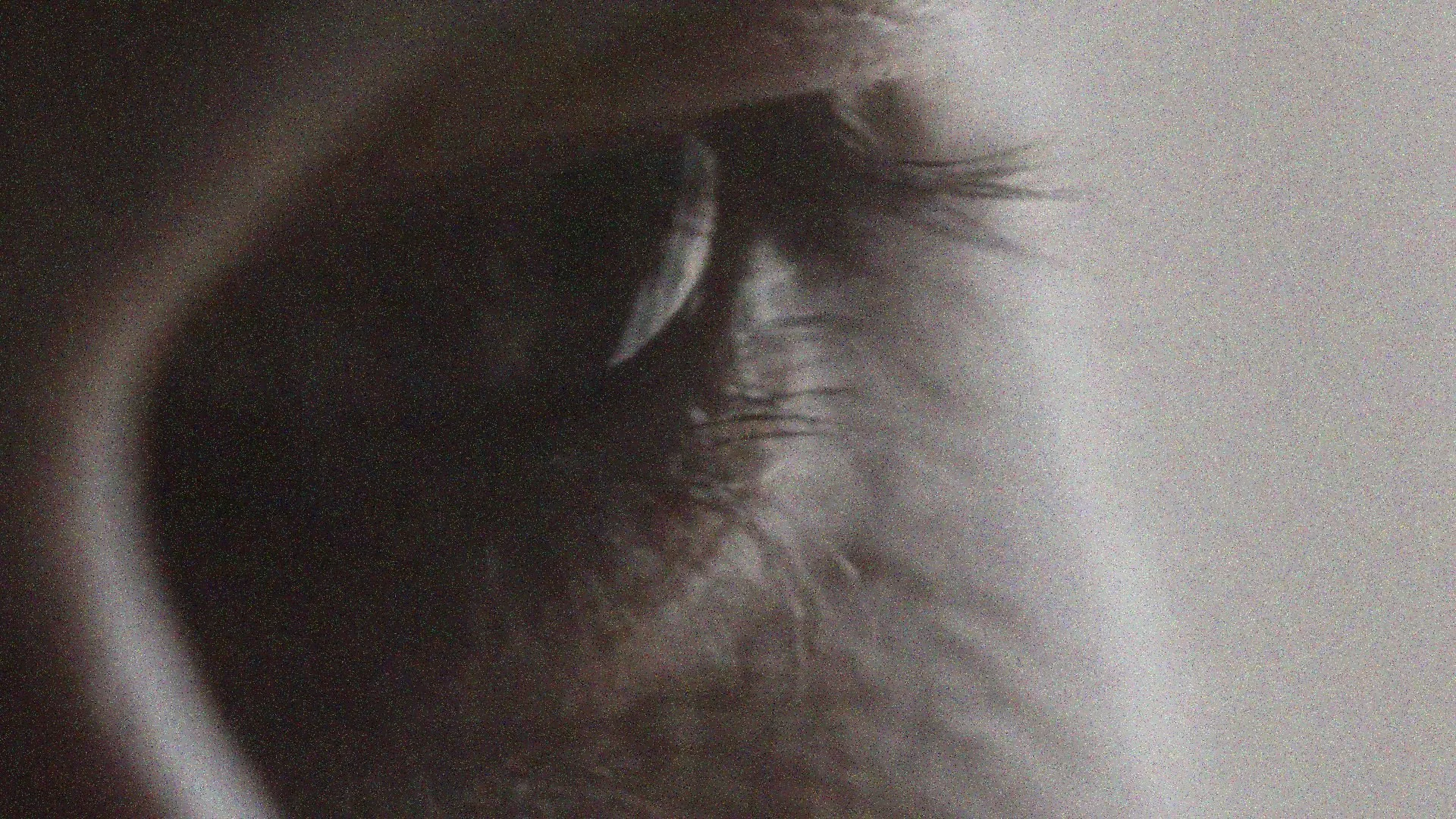 Untitled design (26).jpg