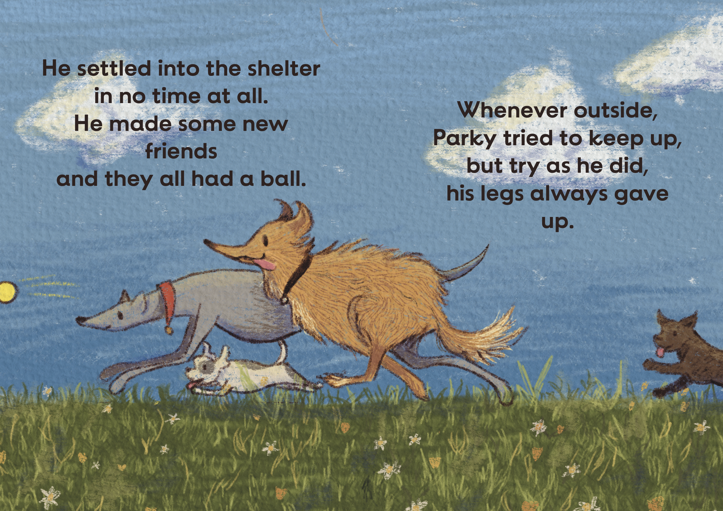 parky-home-3.png