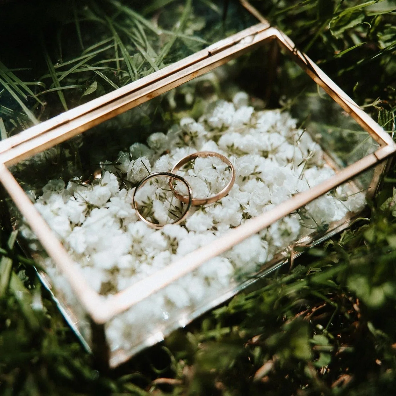 Alliances de mariage en or reposant sur des fleurs blanches dans une boîte en verre.