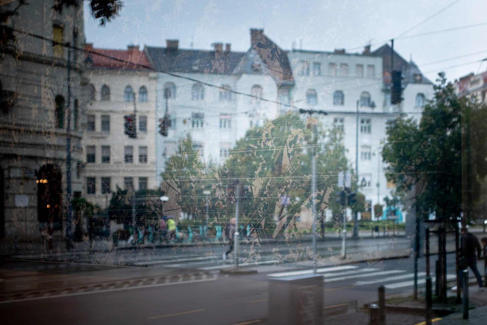 Róza El-Hassan's Self connected tree in the shop window of Művház Café at Bartók Béla út in Budapest. At Bartók-negyed, Bartók-Quarter.