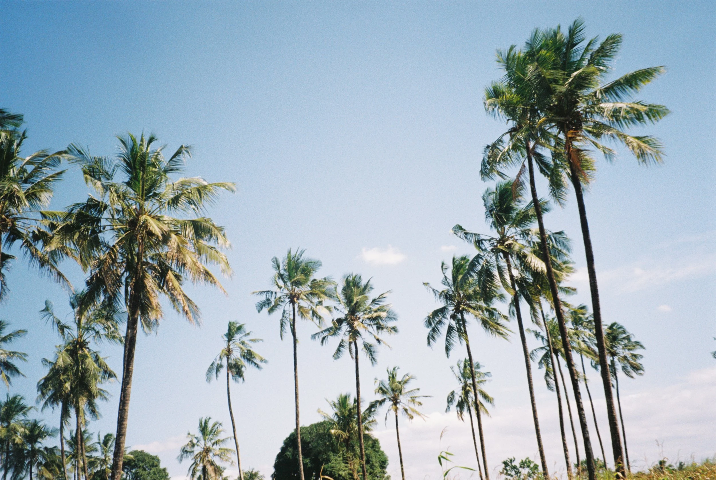 Before You Go: A Practical Guide to Tanzania