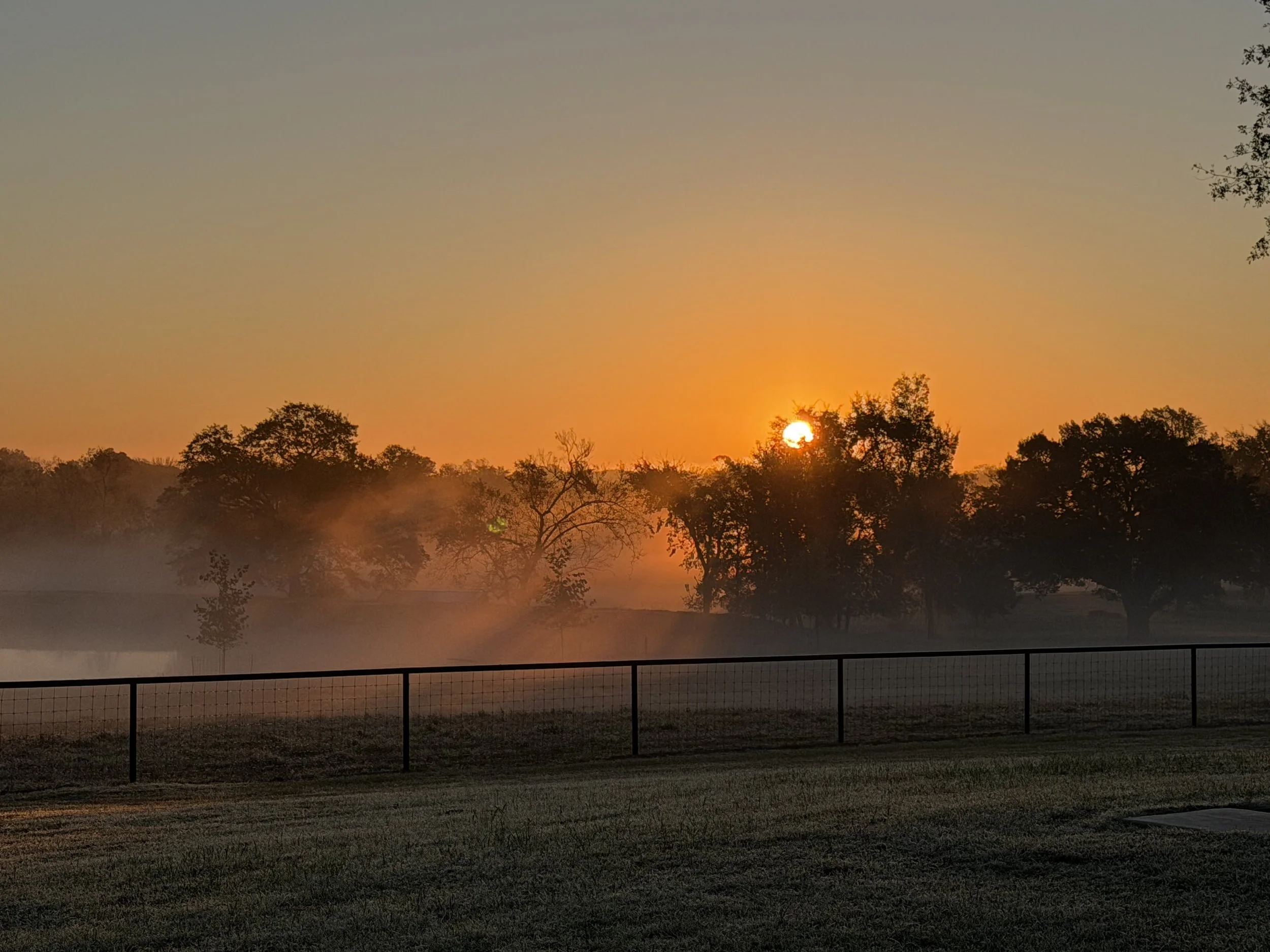 IMG_0336.jpg