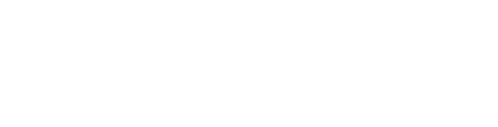 Feinberg Consulting