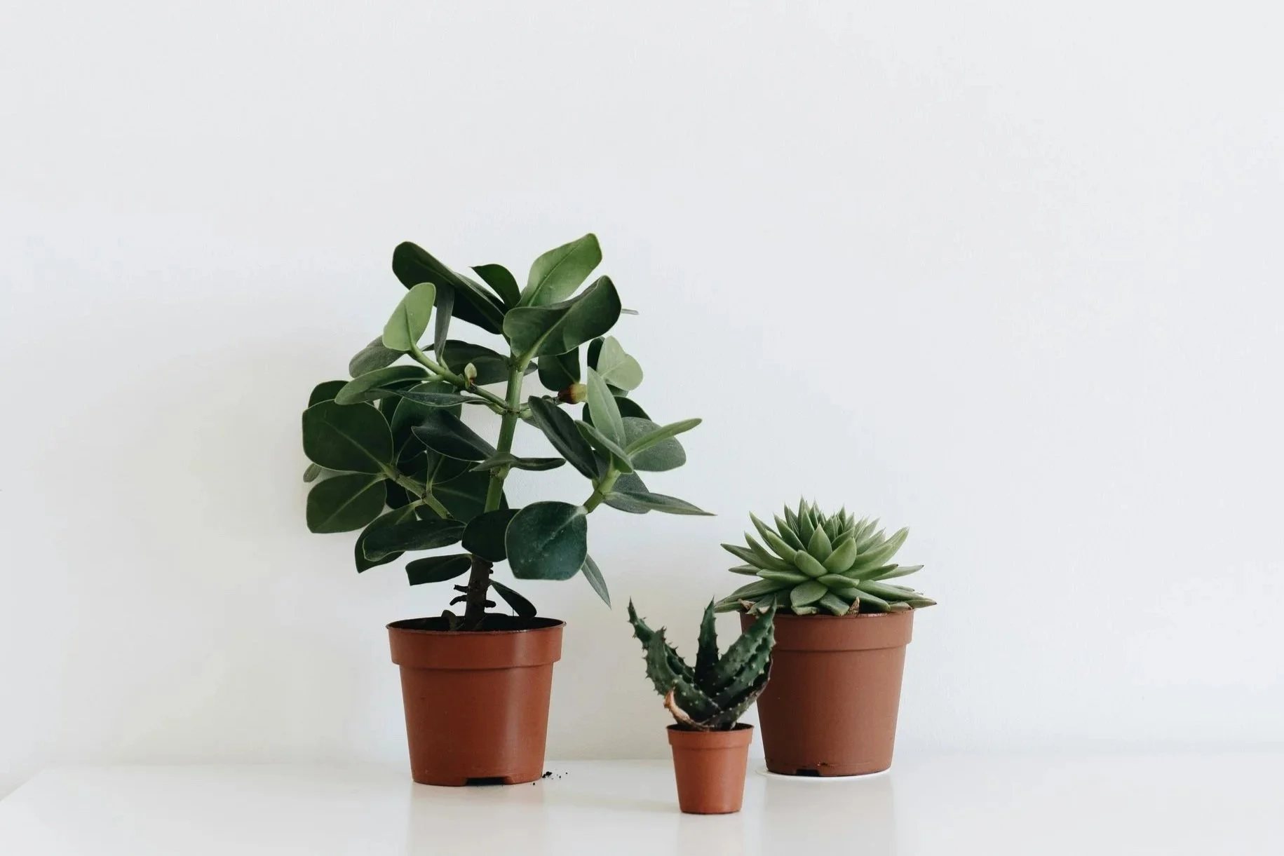 What we want from you