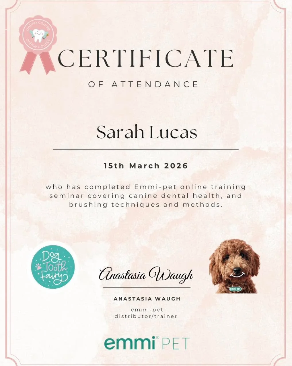 Emmi Pet training complete 🦷 🪥 
If you would like more information on how this non invasive treatment works or for pricing info, please send me a message ☺️
