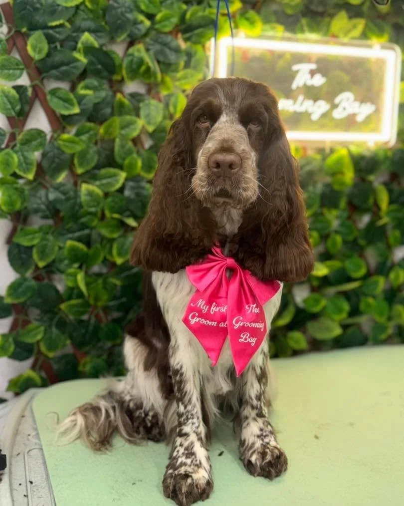 Oh Darcey, you are quite simply stunning 😍