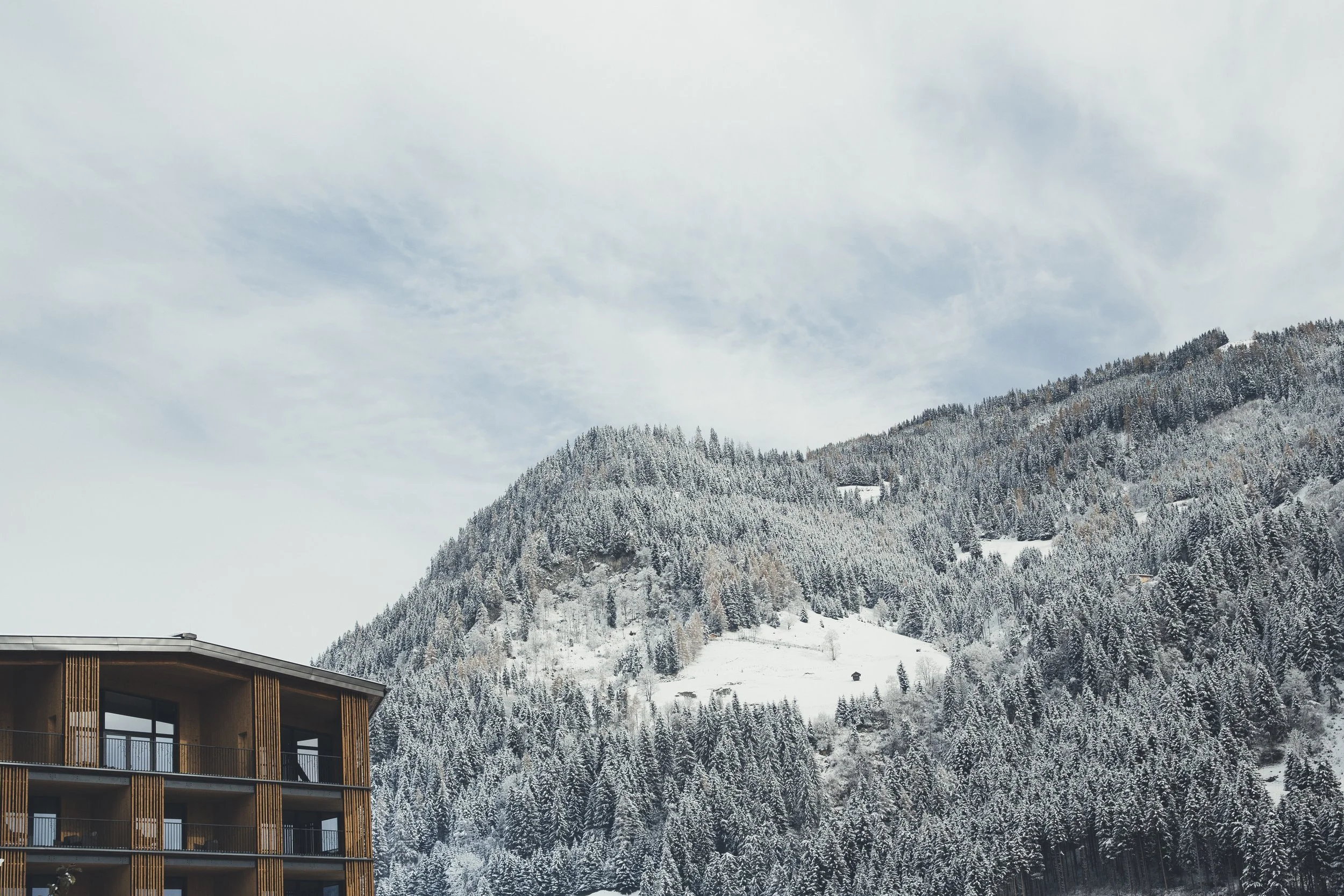 Nesslerhof Winter.jpg