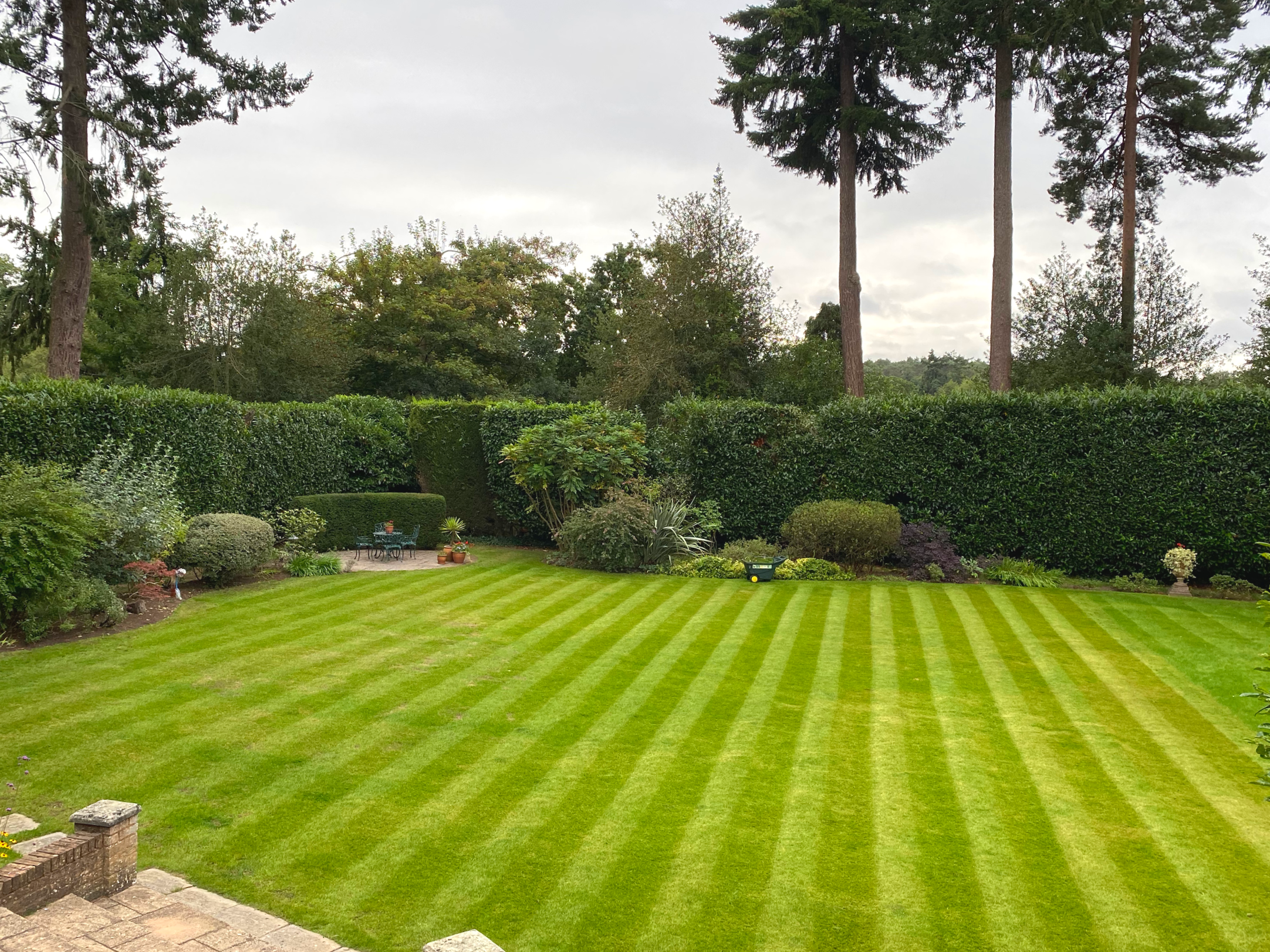 Image taken from the steps of a house looking across the freshly mown lawn to the hedges and shrub border at the bottom of the garden