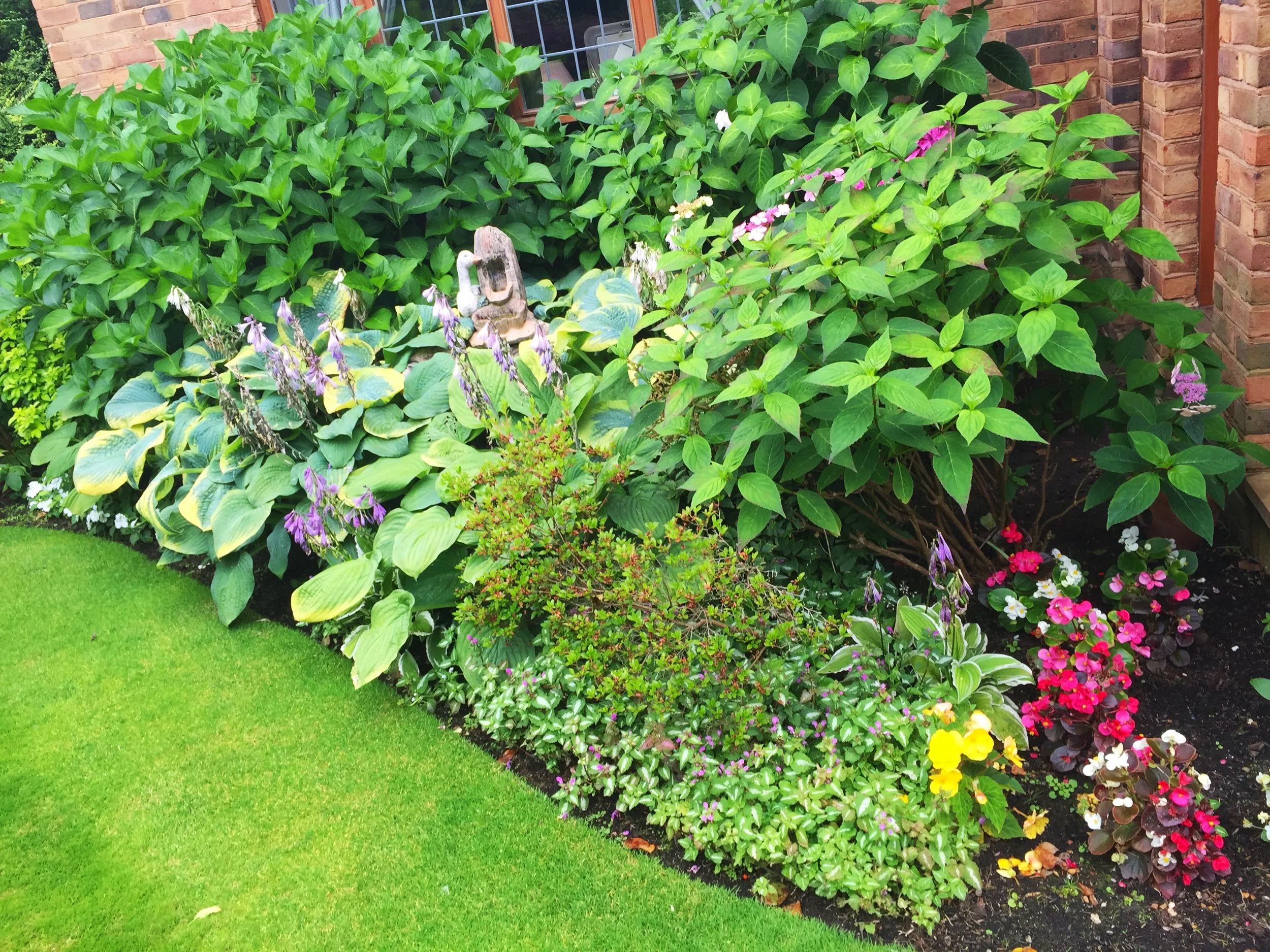 Mature and well-maintained shrub border