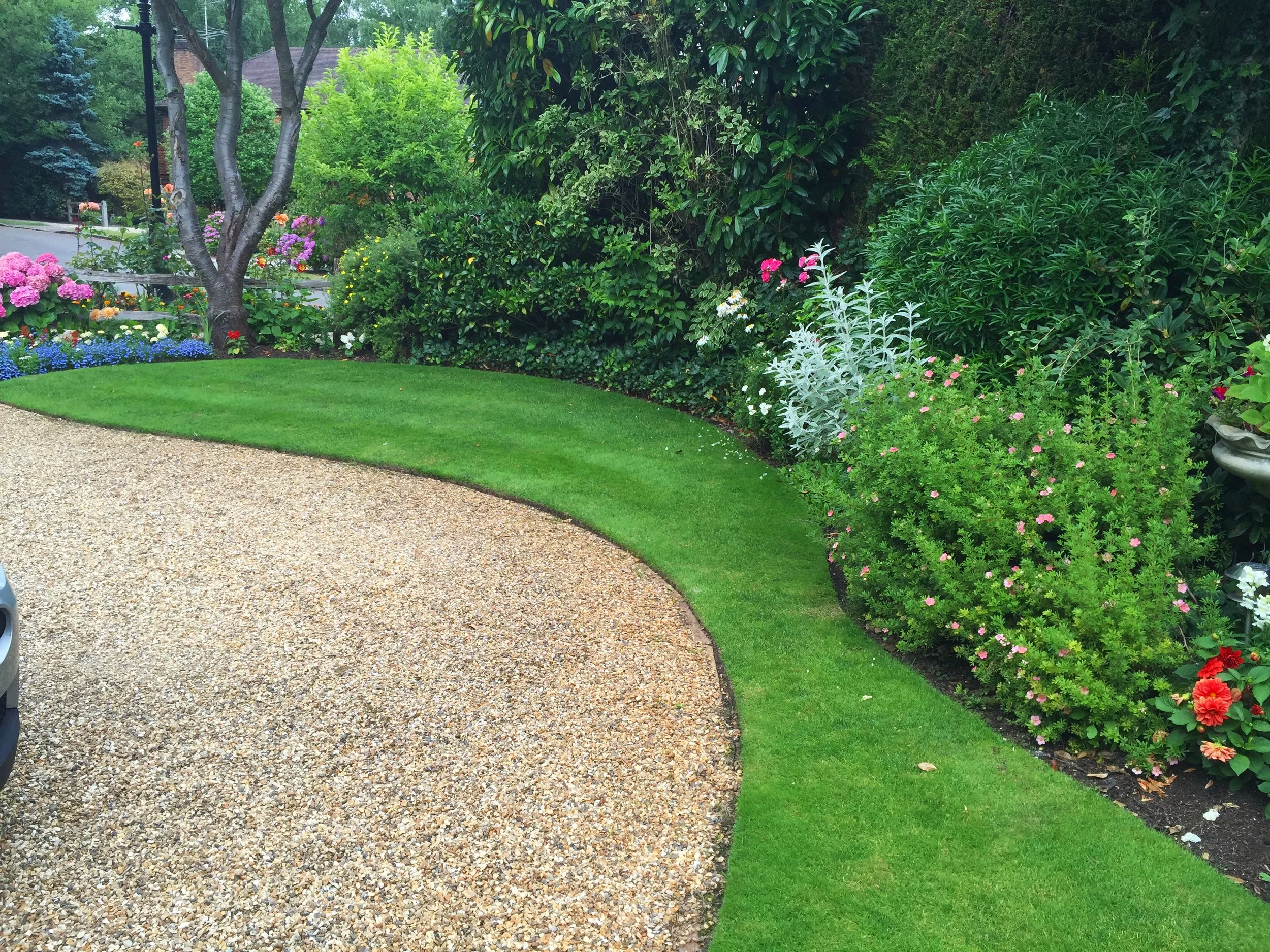 Well-maintained, established garden border and strip of lawn on the edge of a tidy gravel driveway