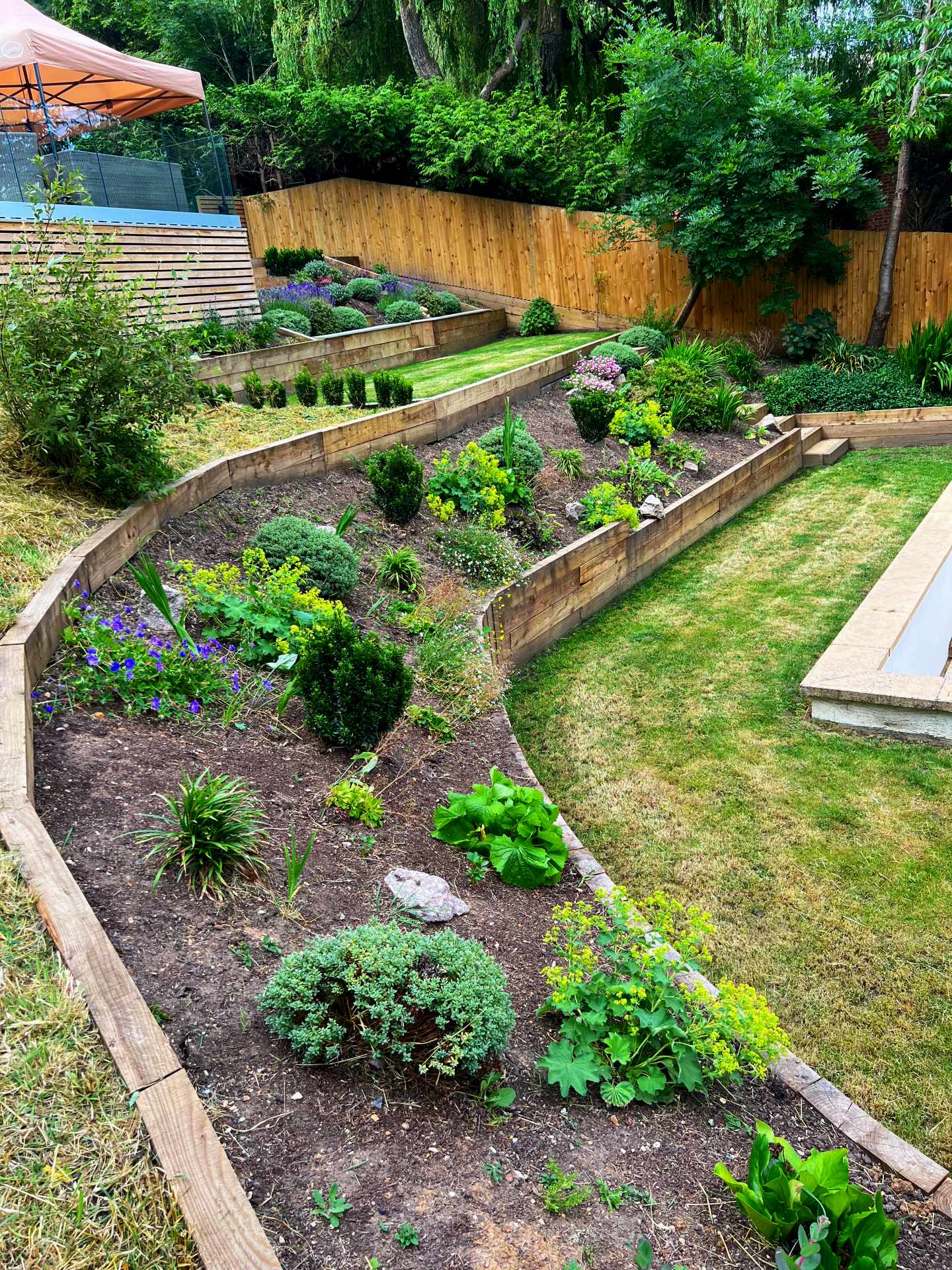 Newly planted shrubs and plants in a raised, landscaped border