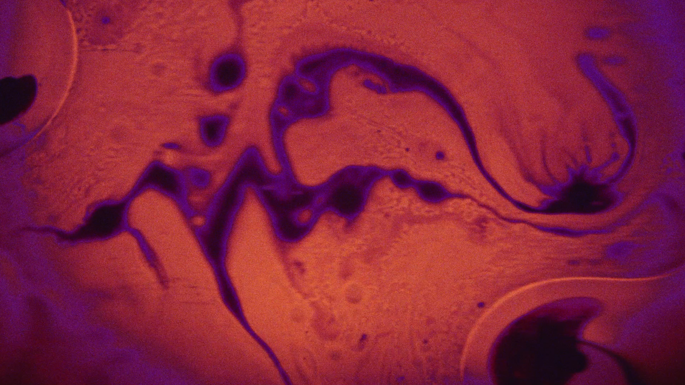 Capture d’écran 2025-01-16 à 18.11.30.png