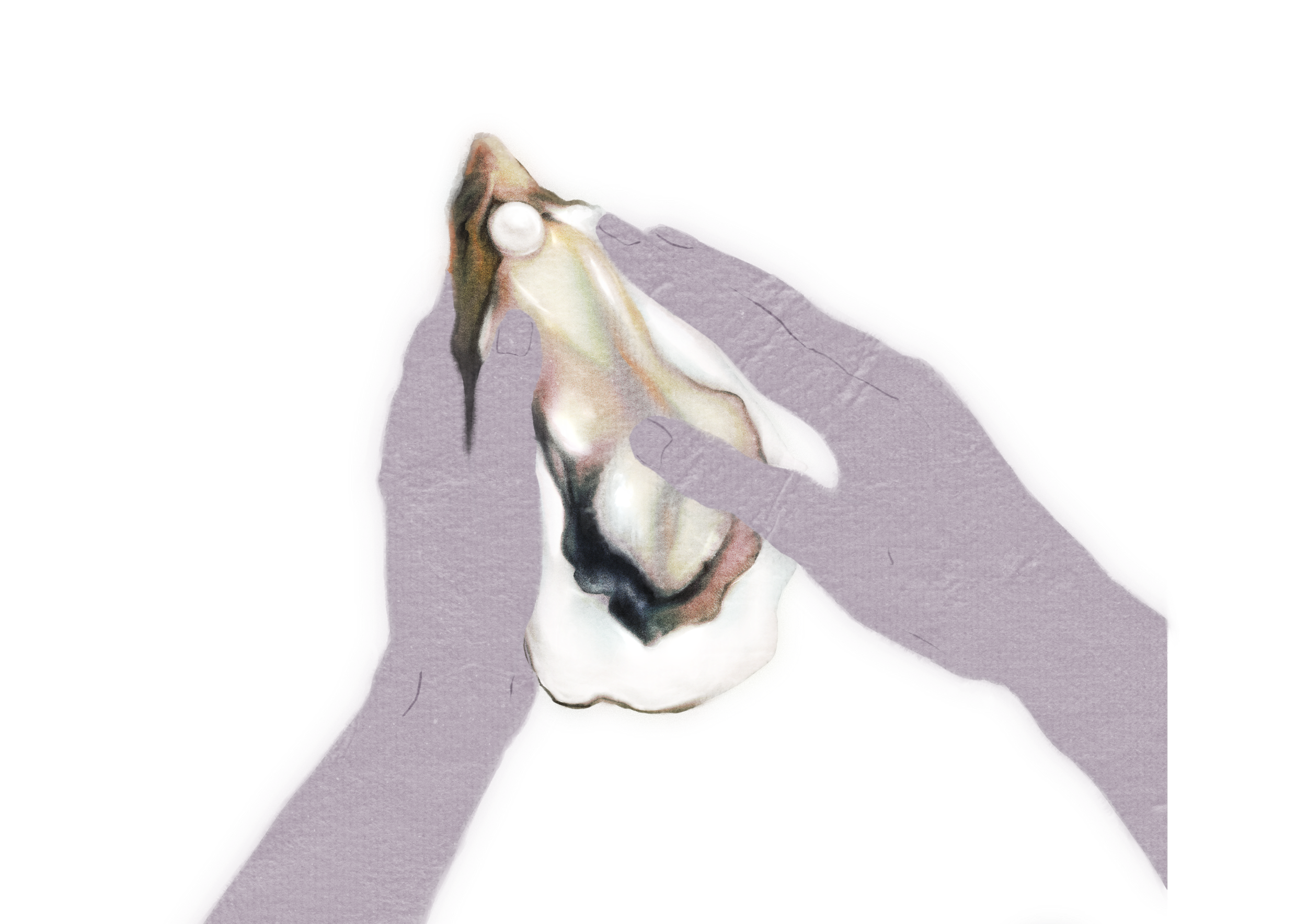 Illustration_sans_titre 12.png