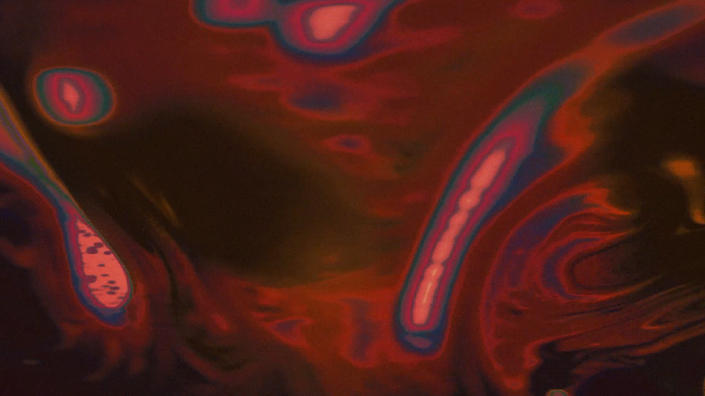 Capture d’écran 2025-01-16 à 18.14.44.png