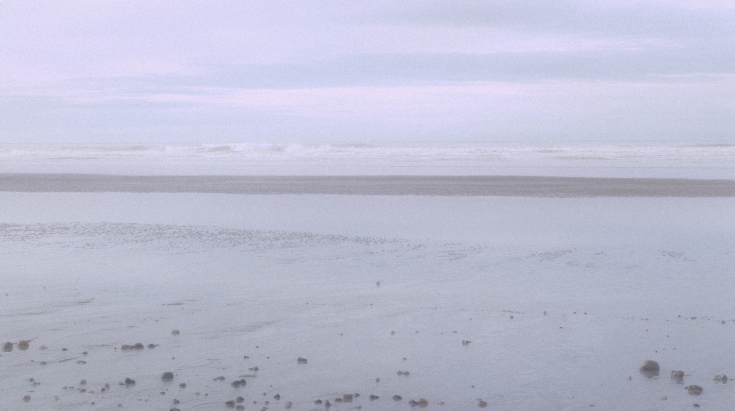 Capture d’écran 2026-02-10 à 14.31.43.png