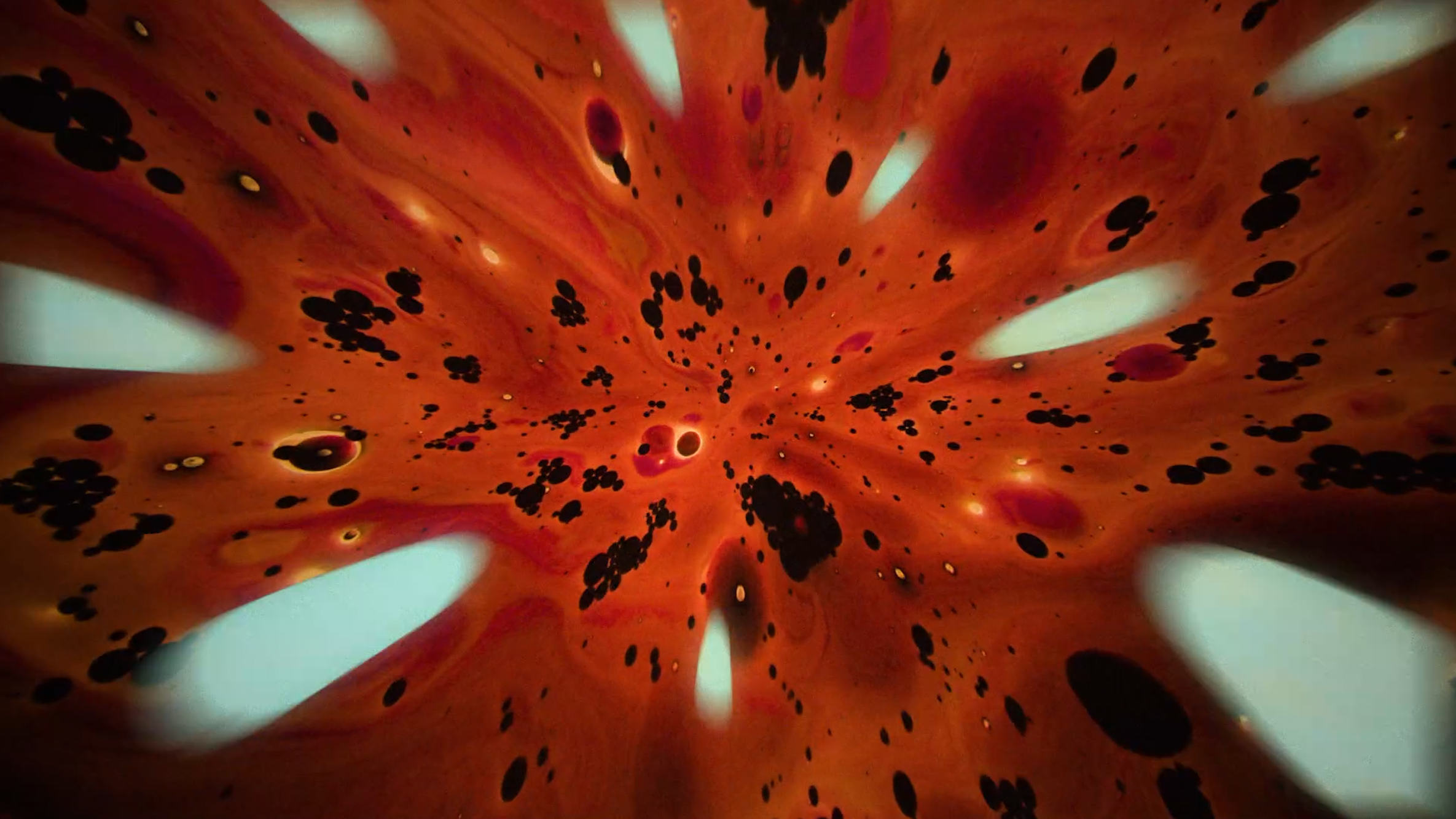 Capture d’écran 2025-01-16 à 18.14.32.png