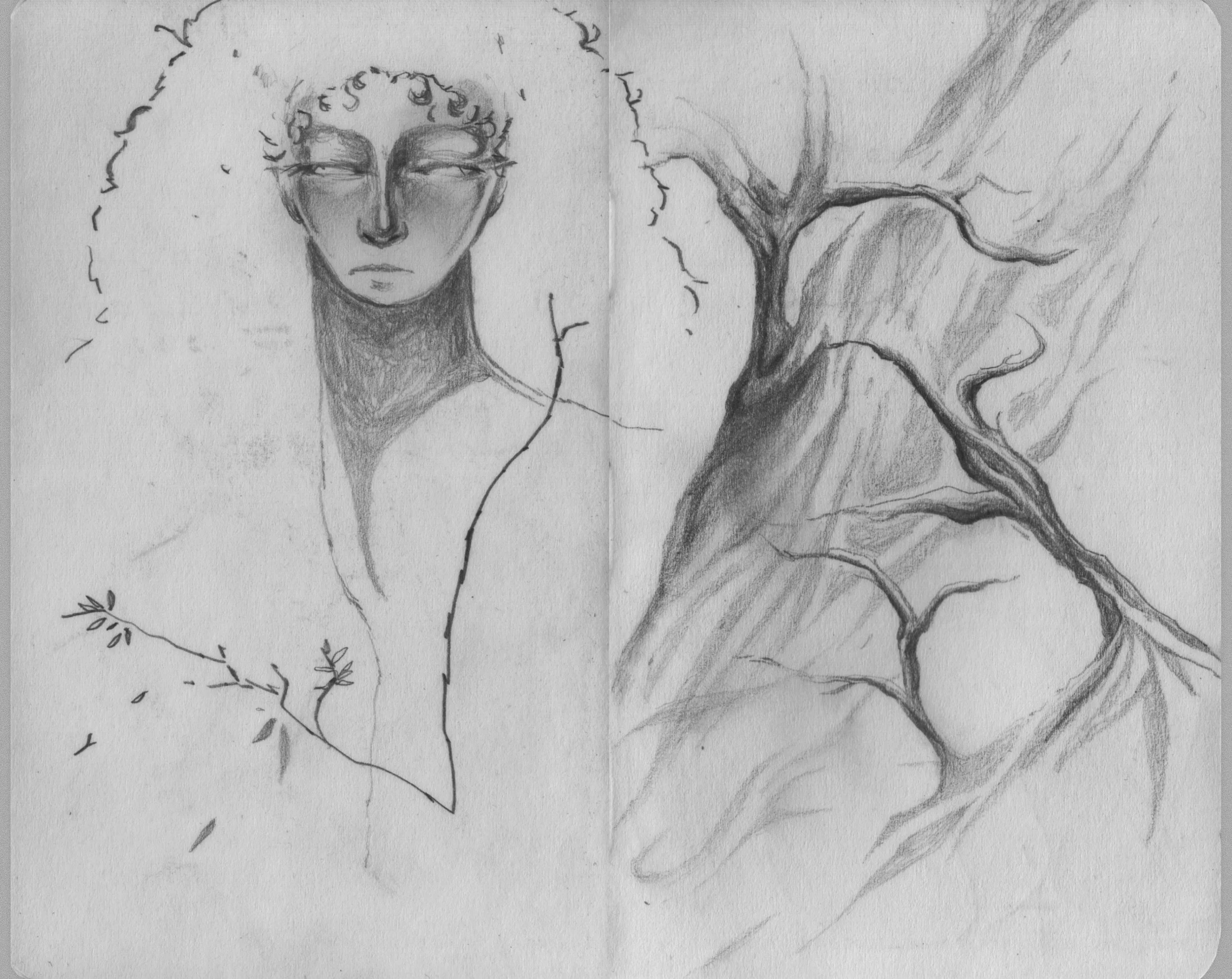 Illustration_sans_titre 146.JPG