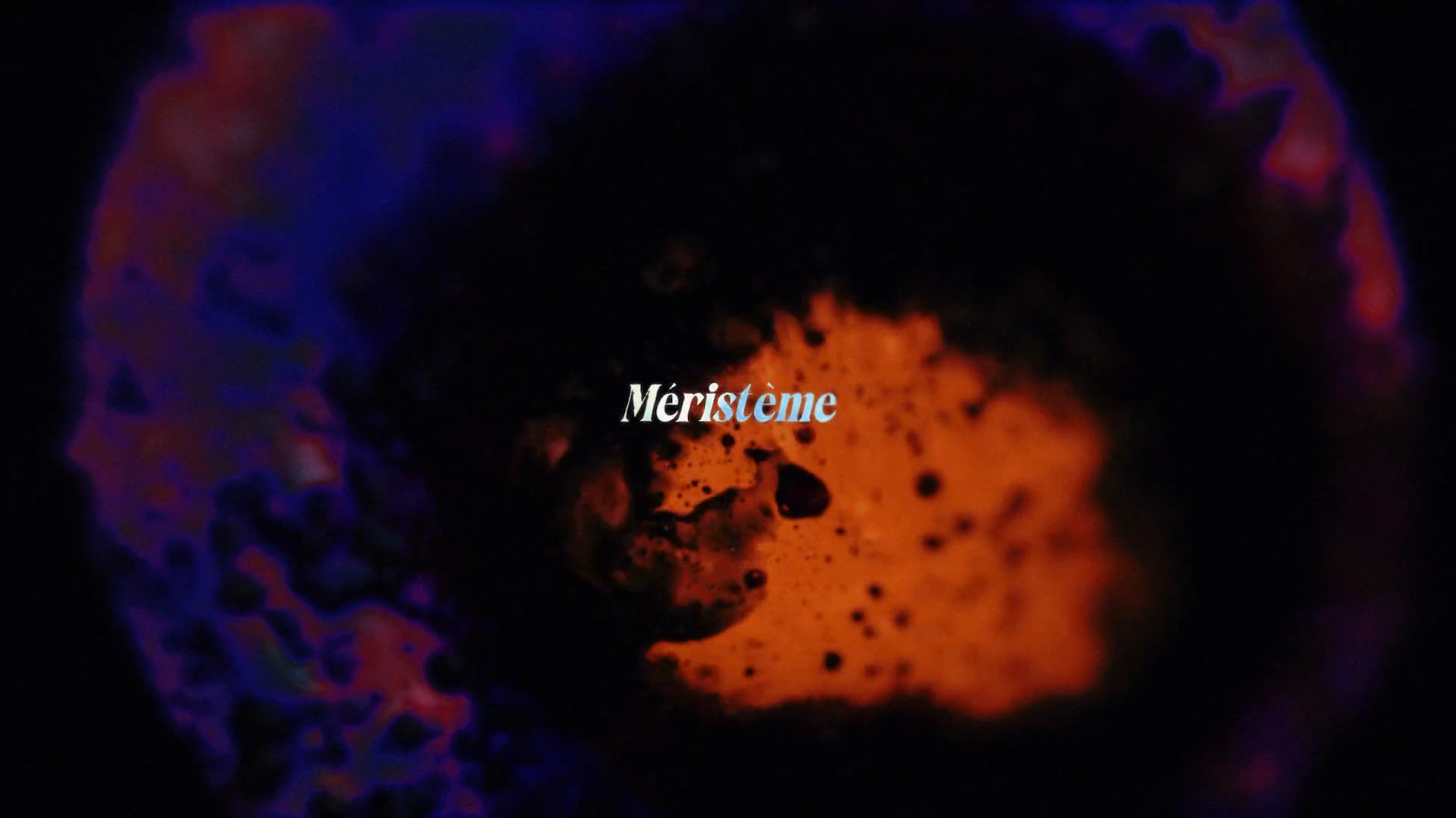 Capture d’écran 2025-01-16 à 18.11.21.png