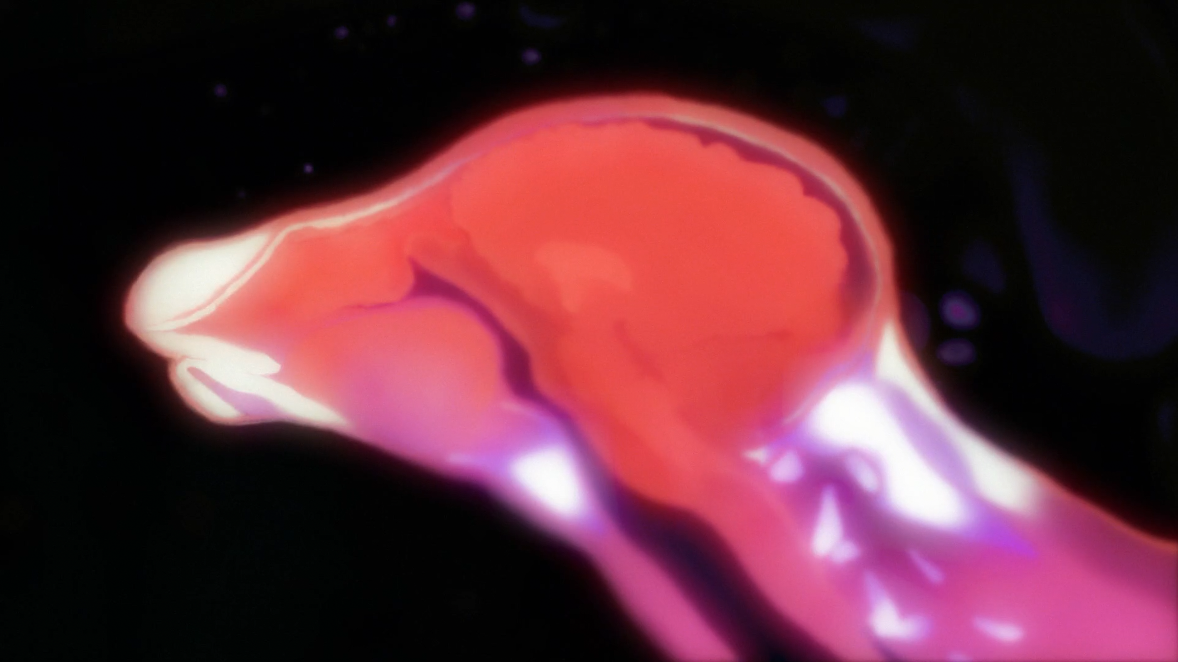 Capture d’écran 2025-01-16 à 18.13.35.png