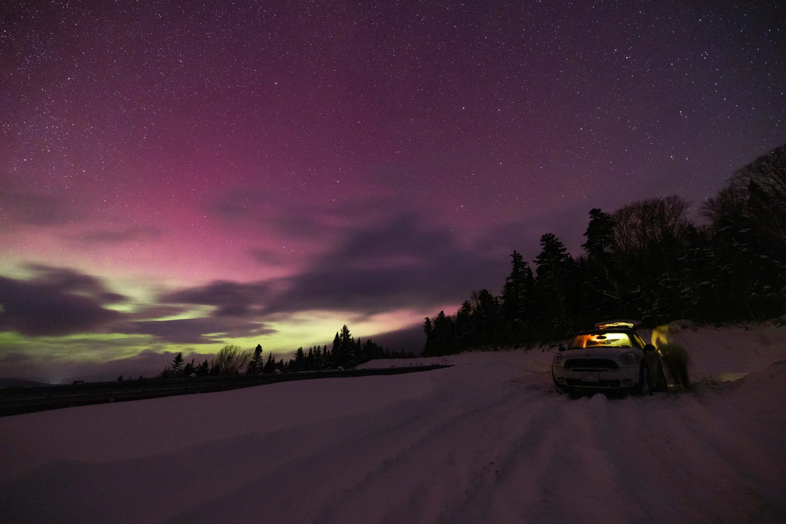 Aurora Volkswagon-3.jpg