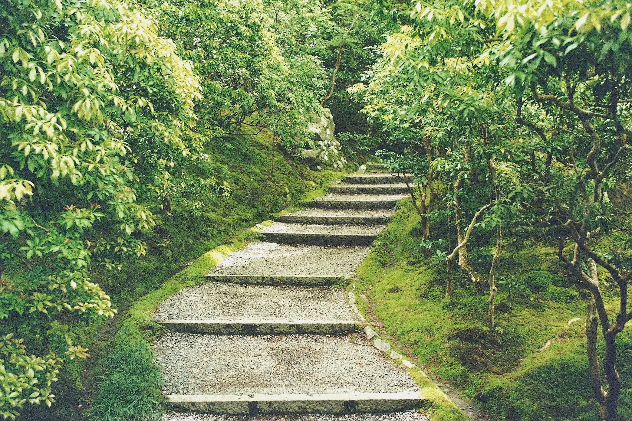 Steinweg Zukunft