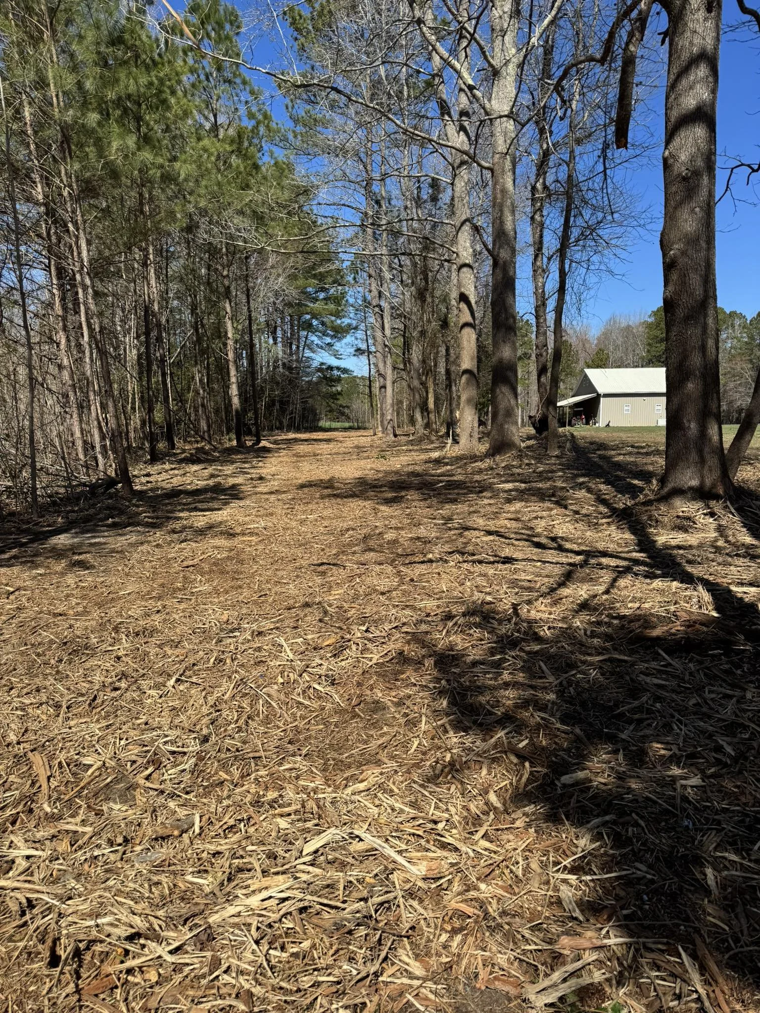 cleared property line from use of forestry attachment