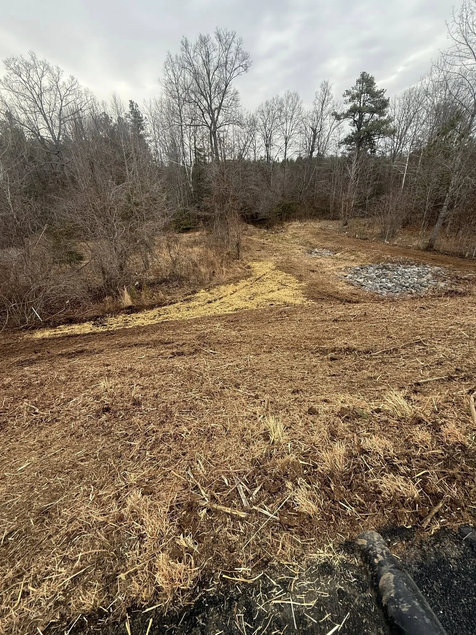 Land after use of forestry attachment