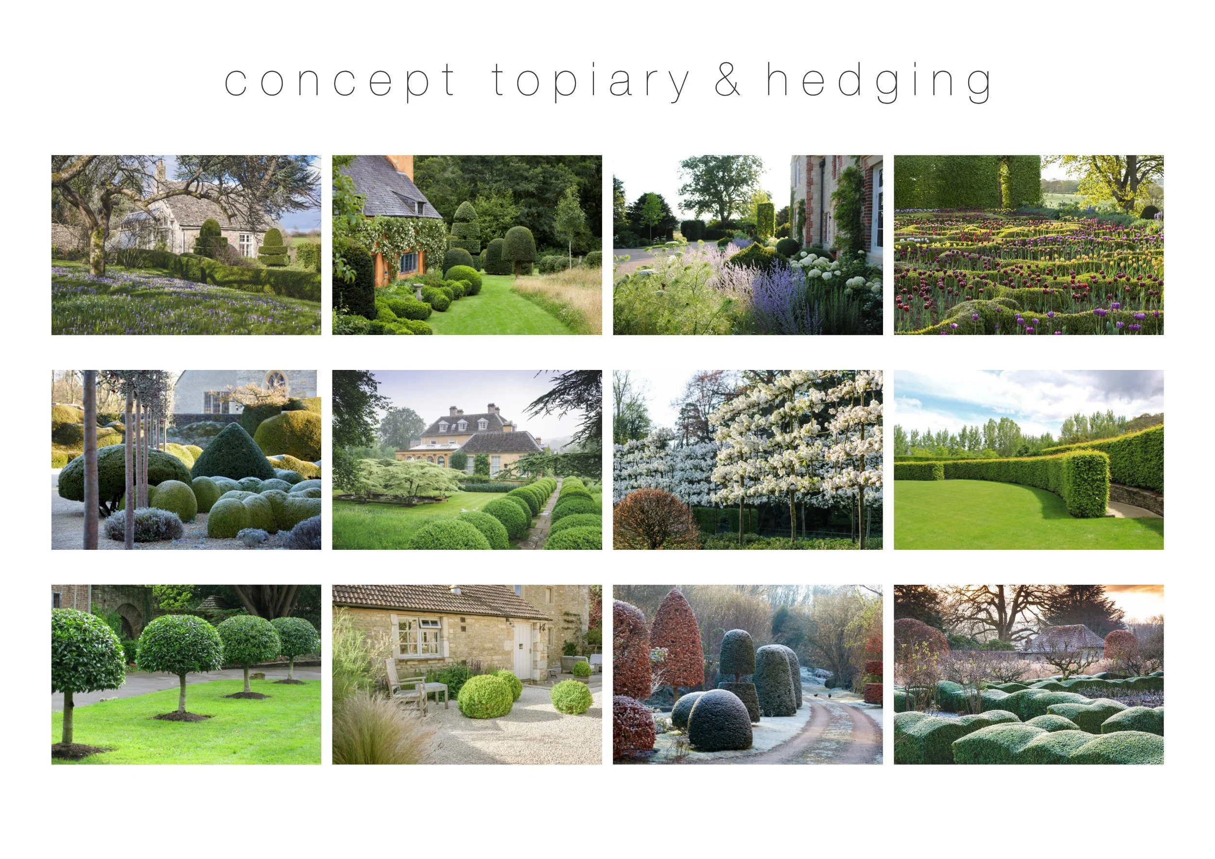 Ruth-Taylor-Garden-Design-Topiary-Hedging-Mood-Board.jpg
