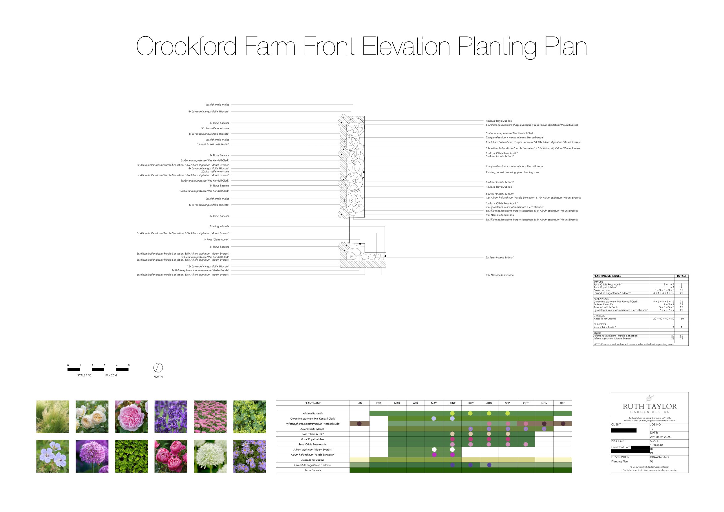 Pink, Purple and White Planting Plan