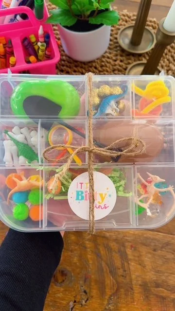 Dinosaur Kit