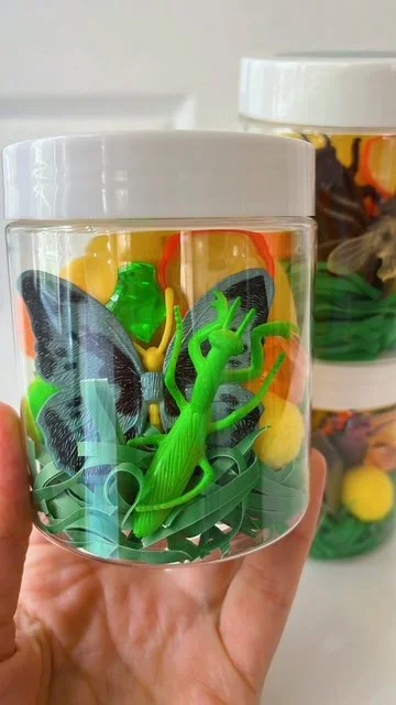 Bug Jars