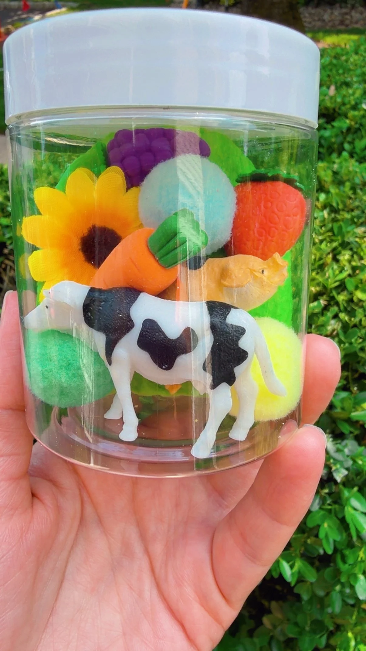 Farm Jar