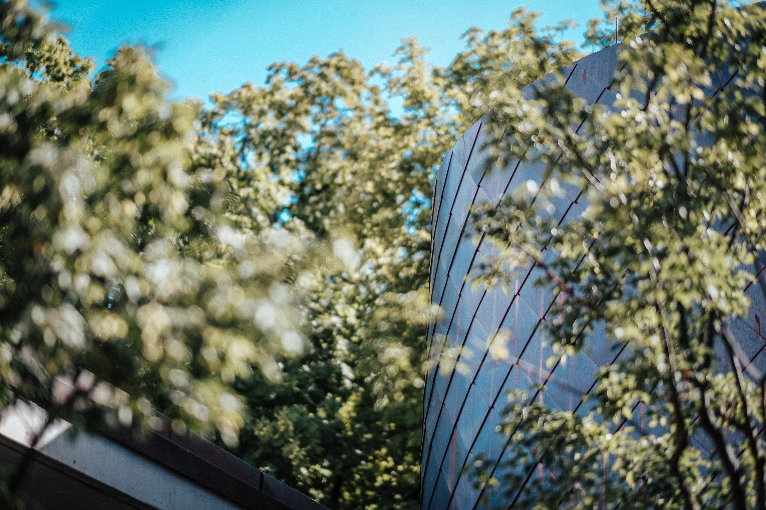 Moderne Gebäude mit einer gebogenen Glassfassade, umgeben von Bäumen mit grünem Laub, bei sonnigem Himmel.