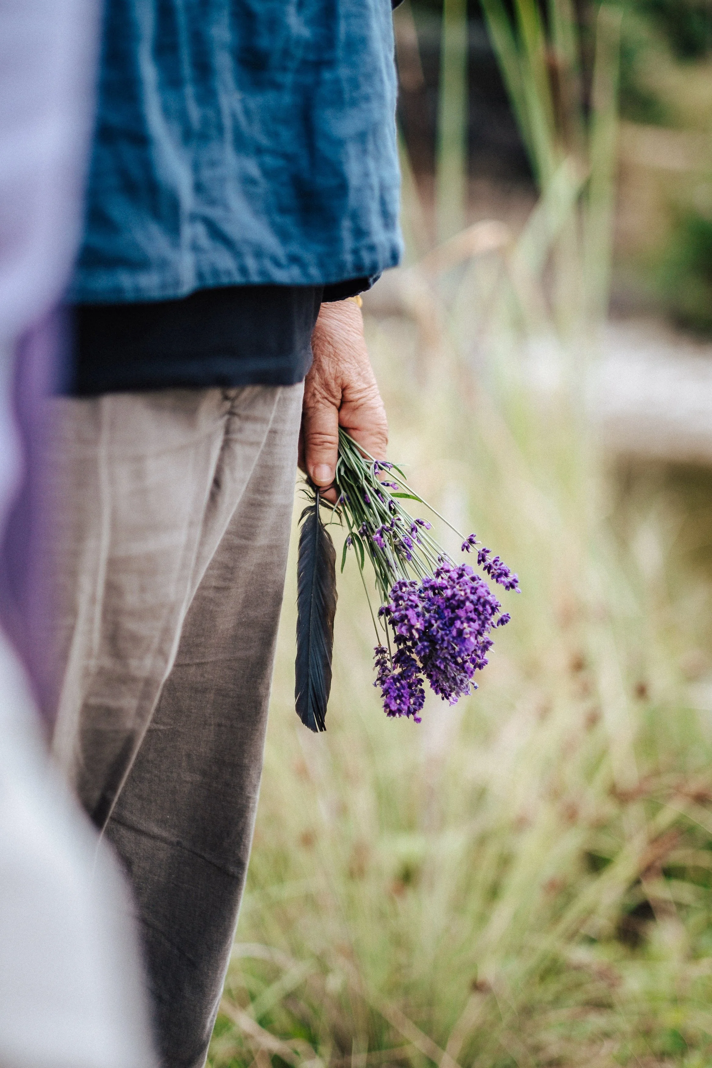 Eine Person hält einen Strauß lila Lavendelblumen und eine schwarze Feder in der Hand, während sie im Freien steht, umgeben von hohen Gräsern.