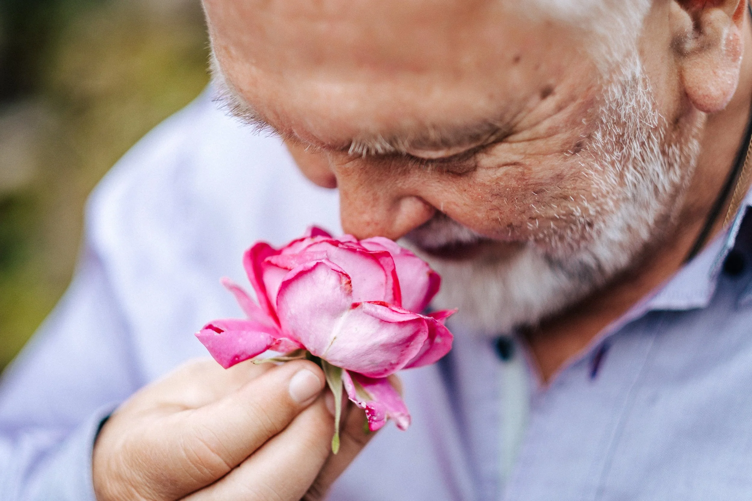 Ein alter Mann mit grauem Bart riecht an einer rosa Rosenblüte.