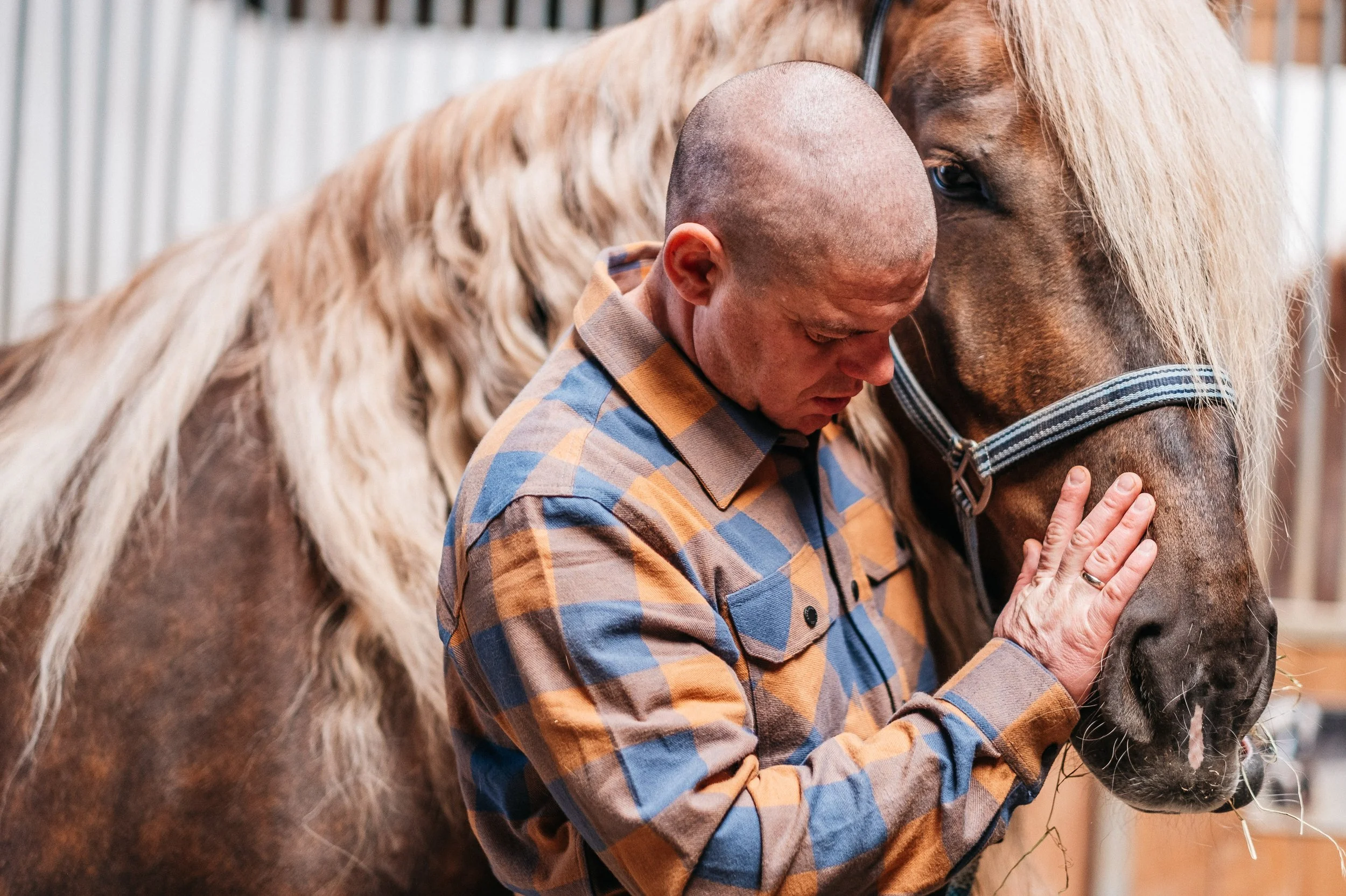 Mann, der sein Pferd im Stall liebevoll berührt.