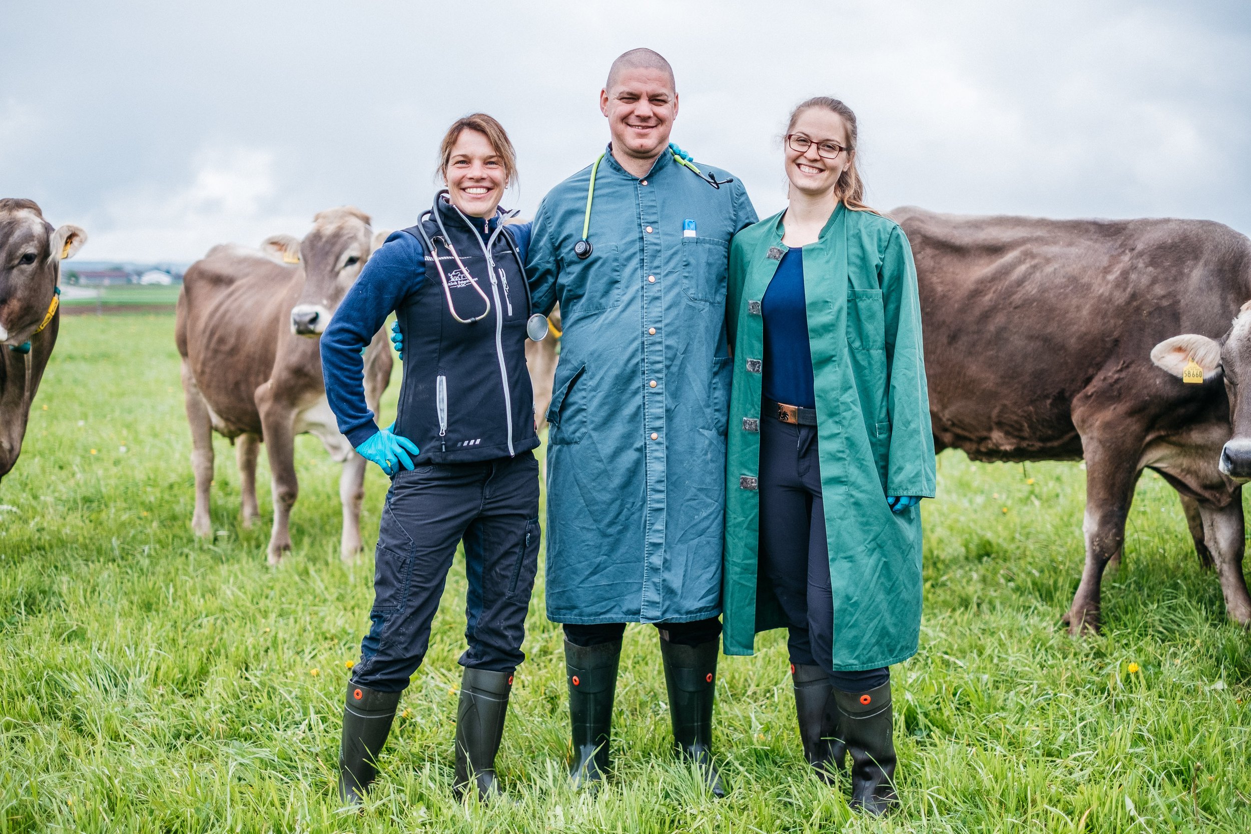 Drei Tierärzte stehen auf einer Wiese mit Kühen im Hintergrund, lachen und schauen in die Kamera.