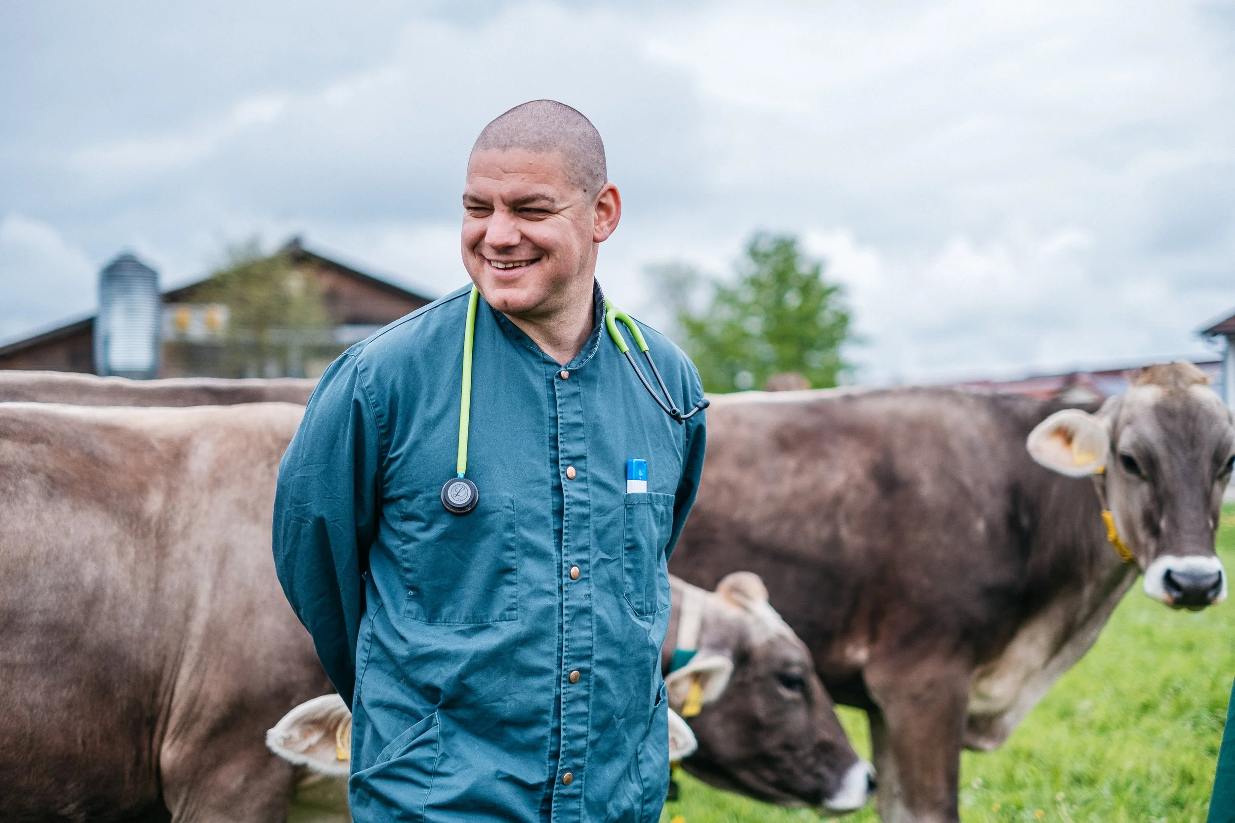 Tierklinik Babenhausen