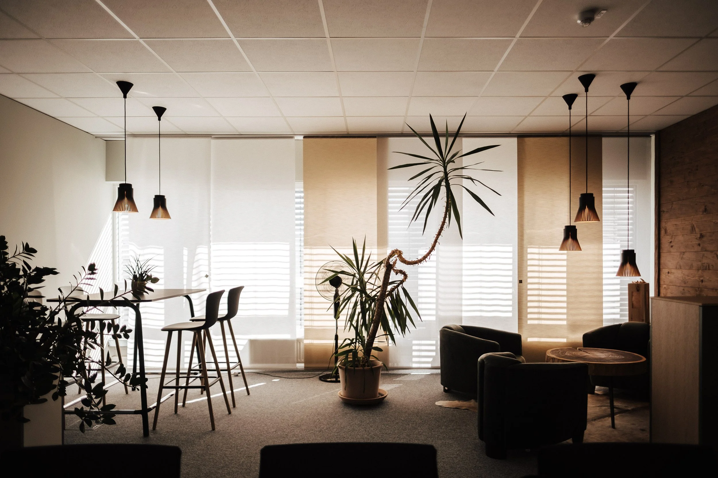 Gemütliches Wohnzimmer mit großen Fenstern, einer großen Zimmerpflanze in der Mitte, einem Sitzbereich mit schwarzen Sesseln und einem runden Tisch, Hängelampen an der Decke und einer Holzvertäfelung an der Wand.