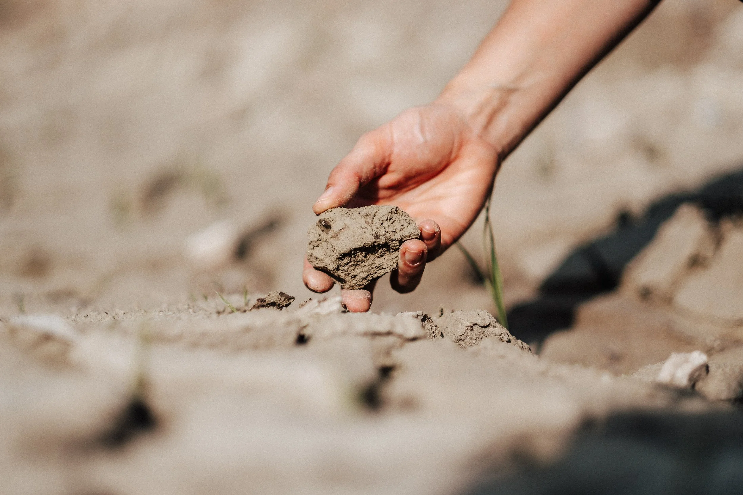 Nahaufnahme einer Hand, die einen Klumpen Lehmsand auf dem Boden hält, im Hintergrund ist trockene, erdbedeckte Landschaft sichtbar.