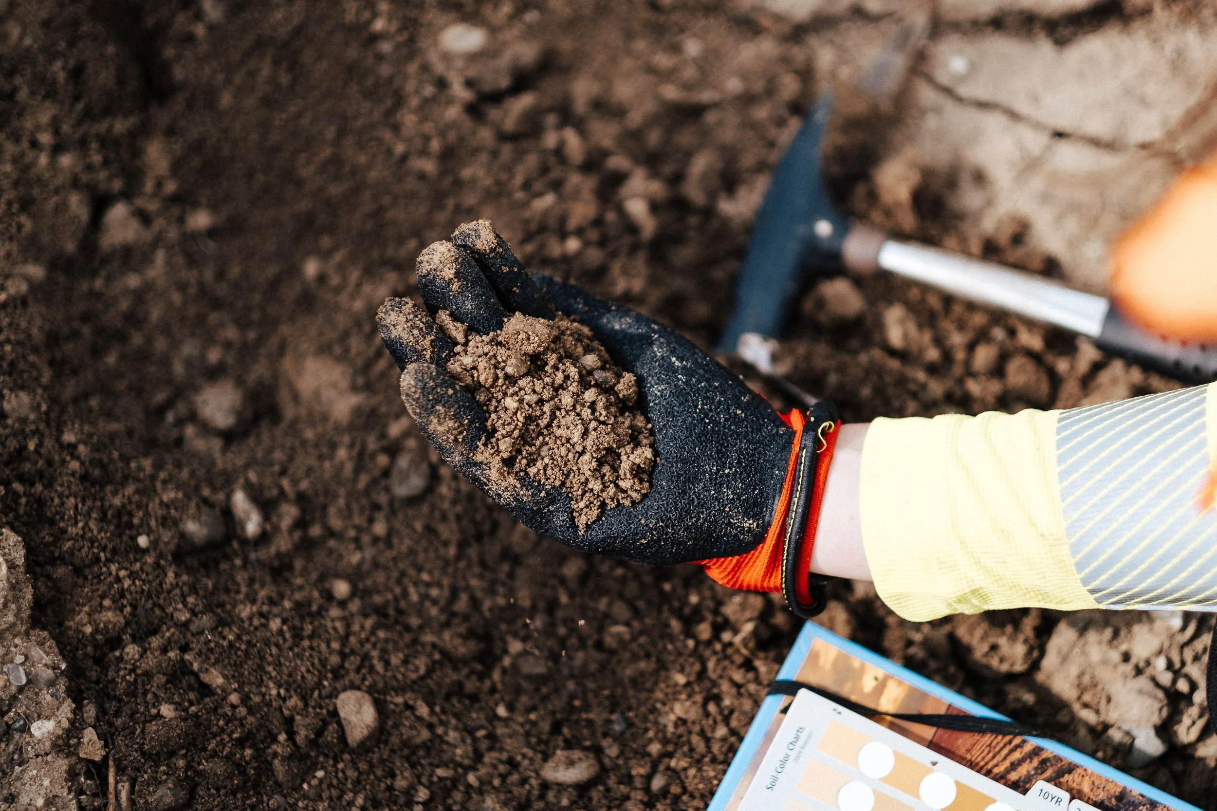 Hand mit einem schwarzen Arbeitshandschuh, die Erde hält, im Hintergrund ein Hammer und ein Blatt mit Bodenkarten. 