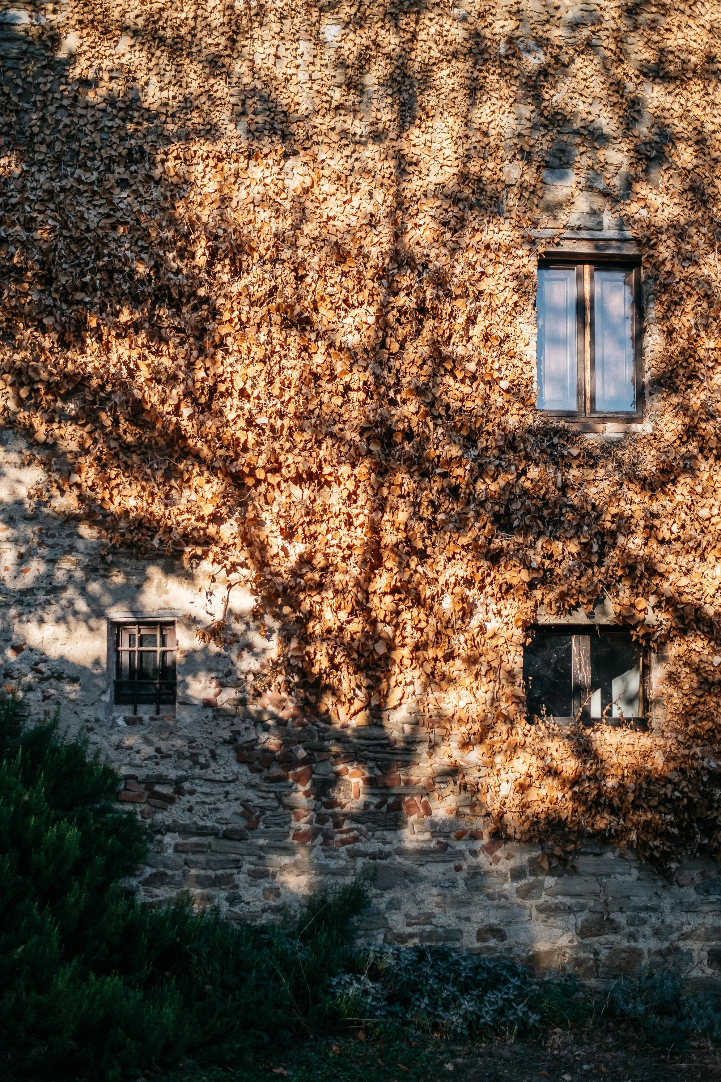 Florian-Rieder-Brandframe-Monestevole-Terra-Pinea-14.jpg