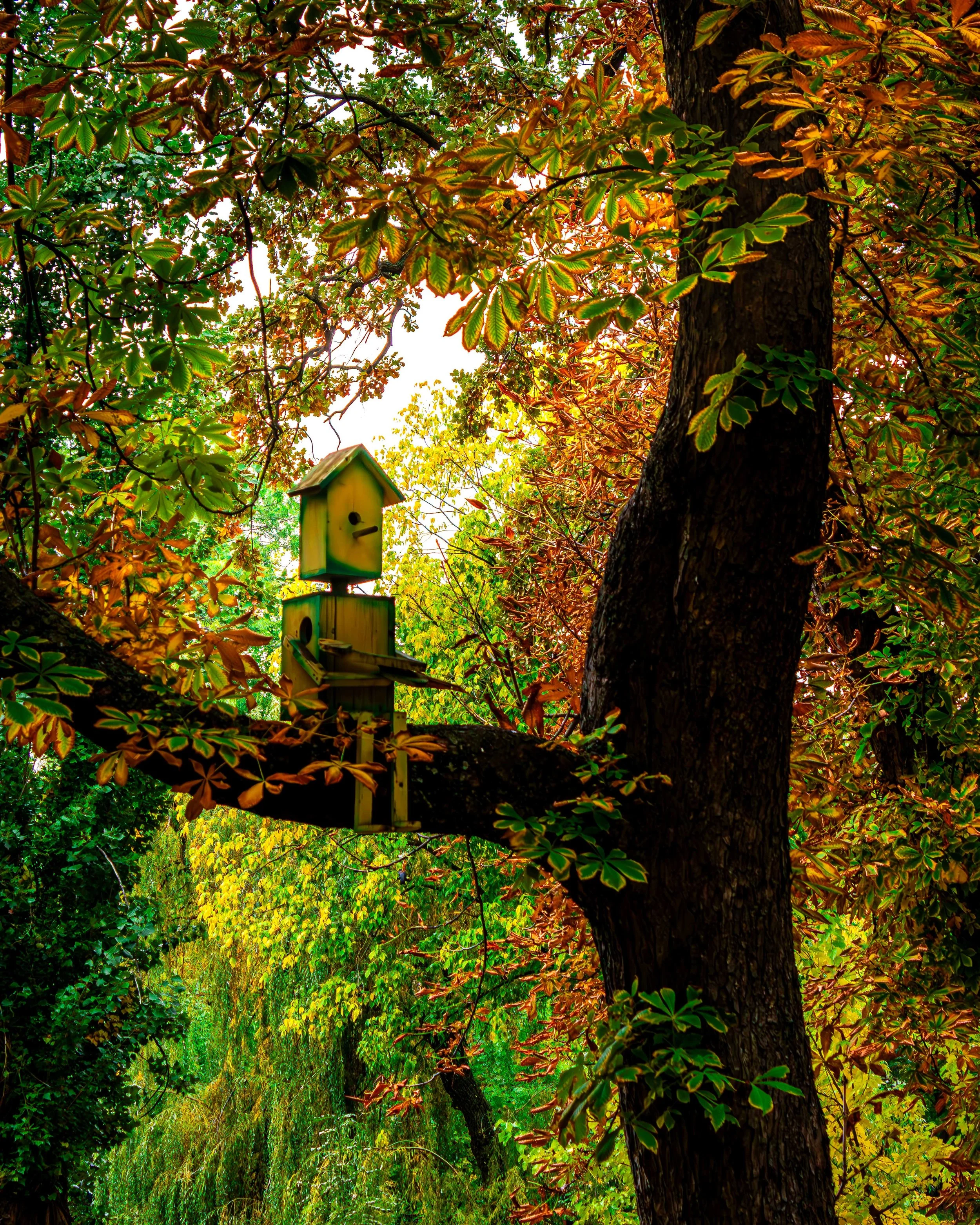 Bailesti + Craiova-61.JPG