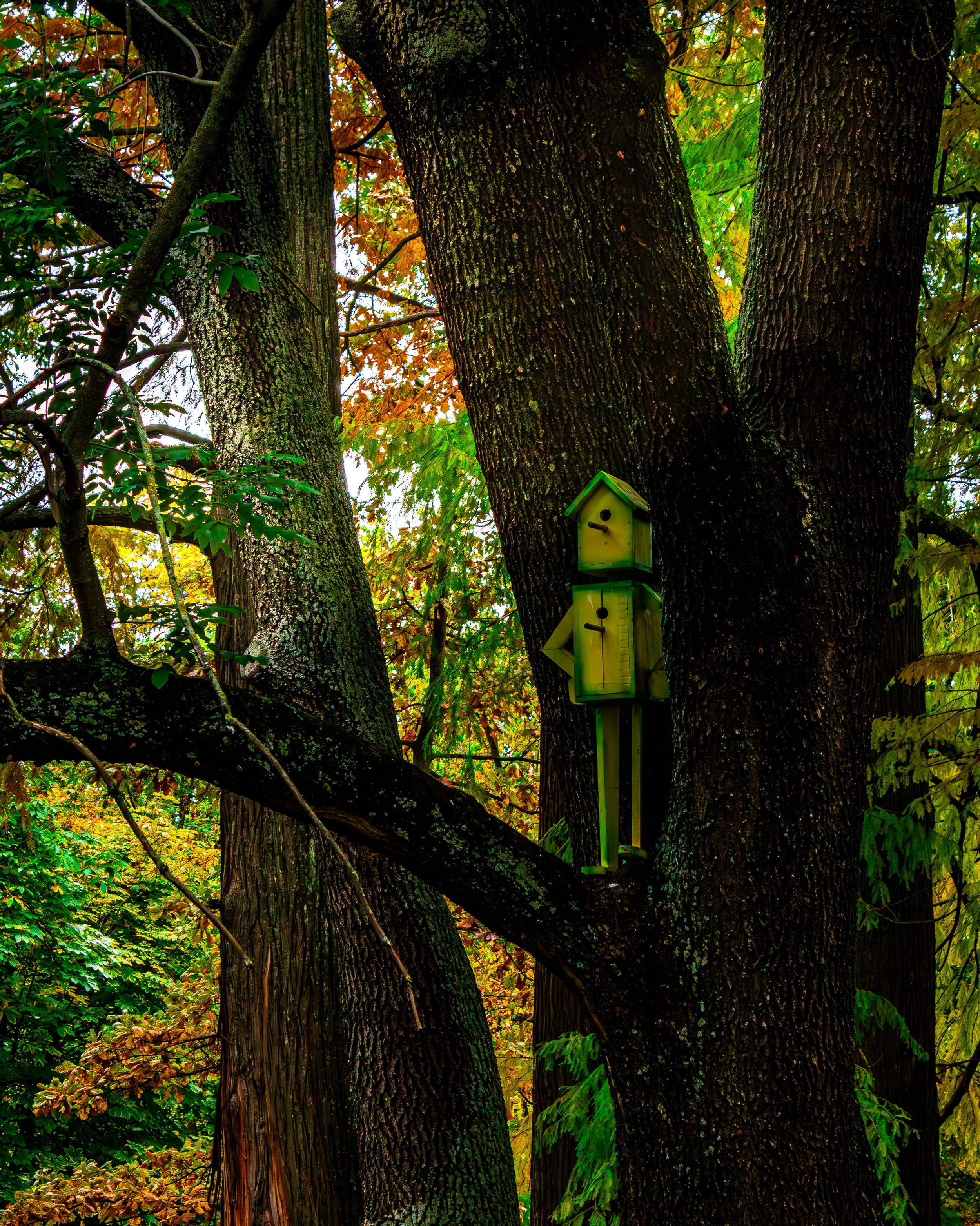 Bailesti + Craiova-60.JPG