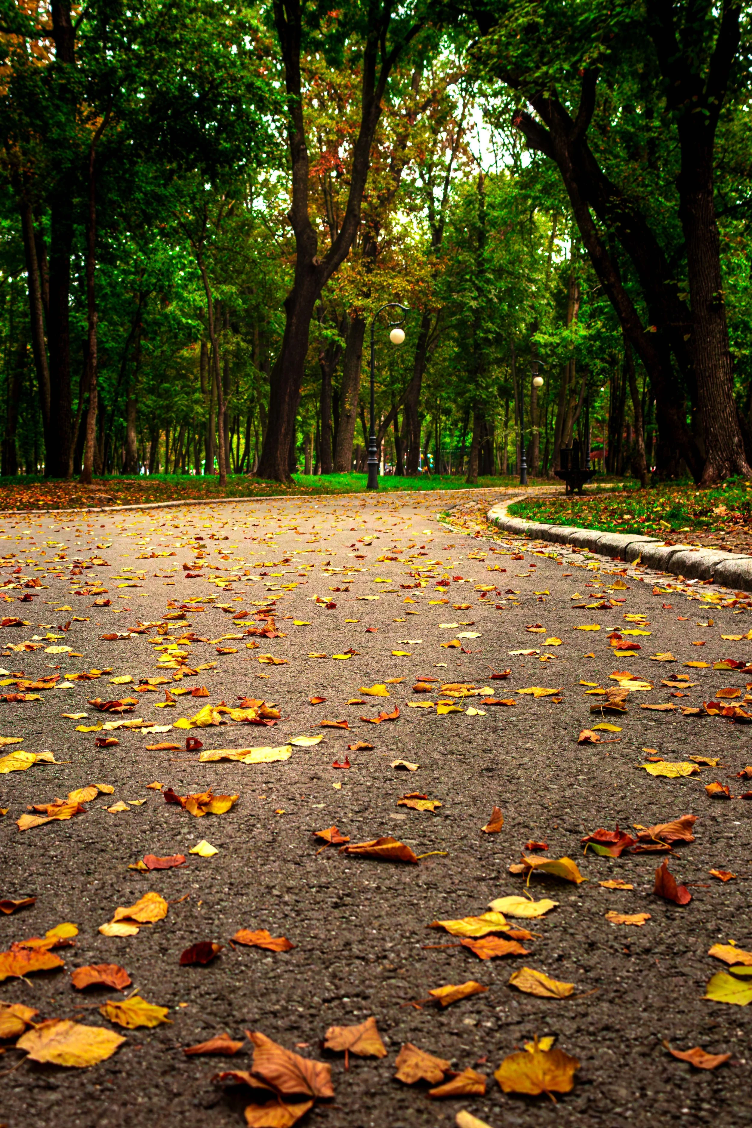 Bailesti + Craiova-14.JPG