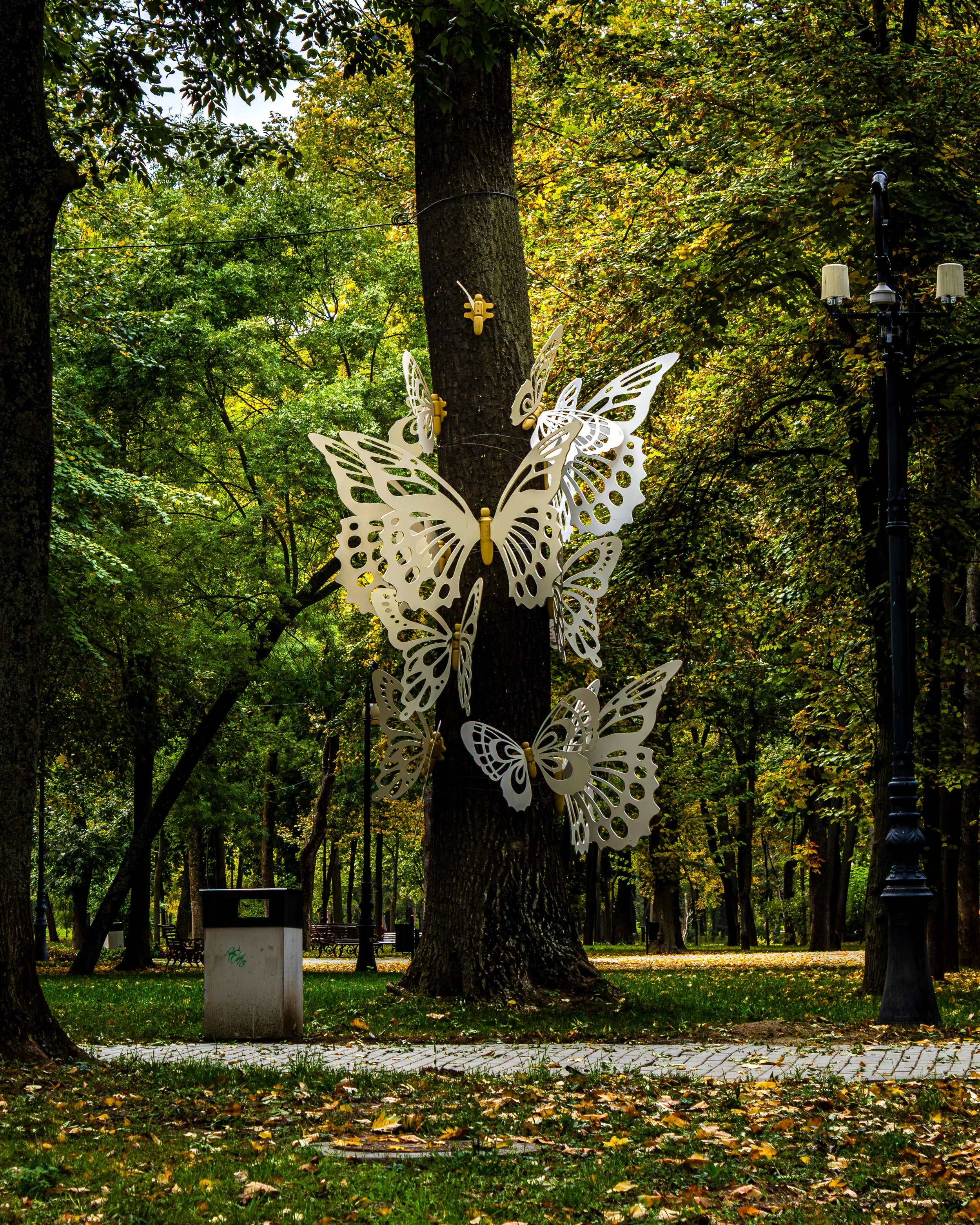 Bailesti + Craiova-42.JPG