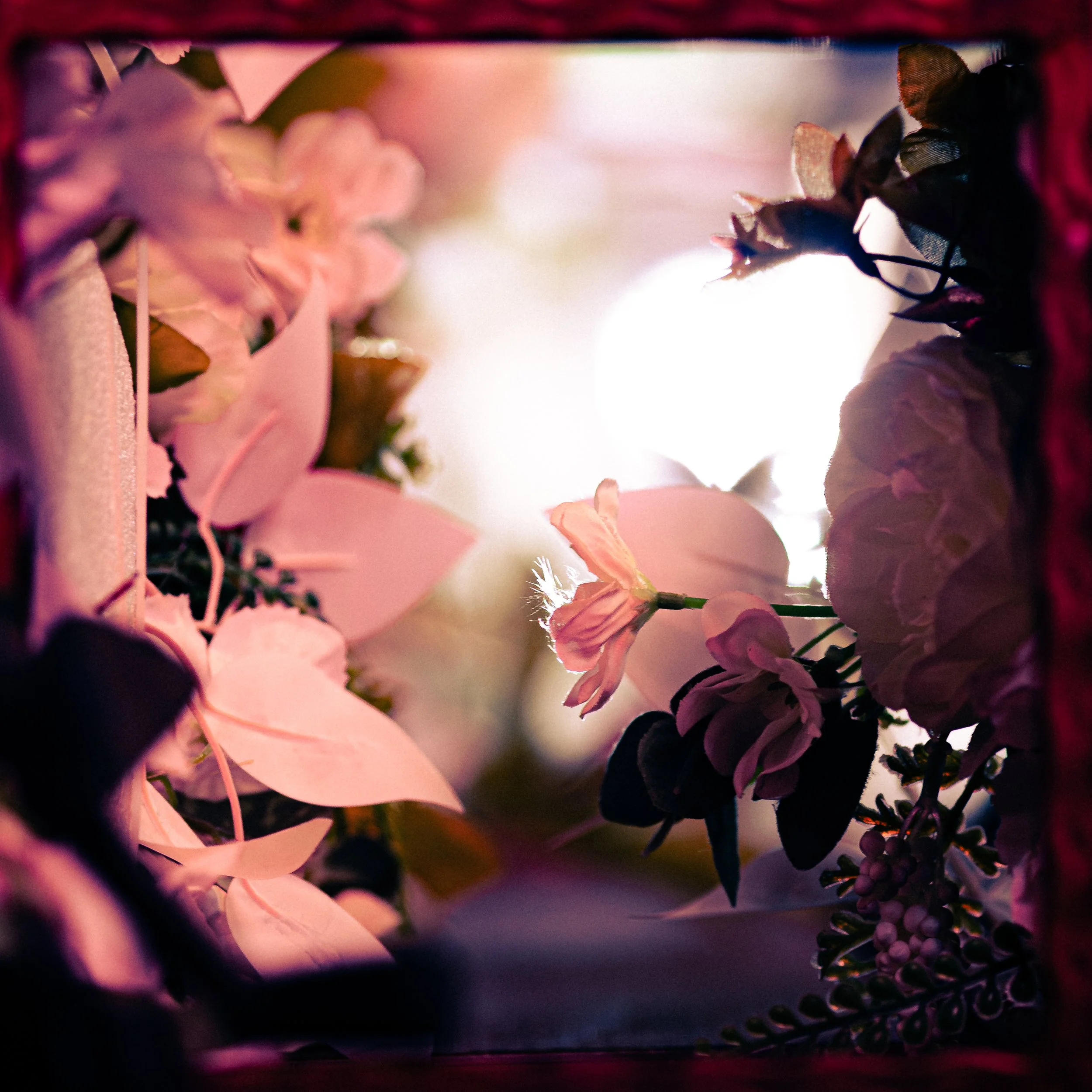 R6II6969.JPG